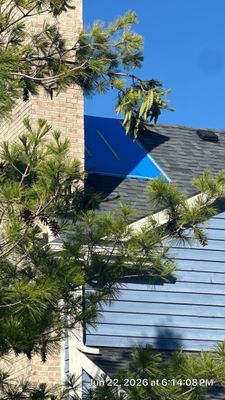 Asphalt Shingle Roof Tarping and Leak Mitigation in Vernon Hills