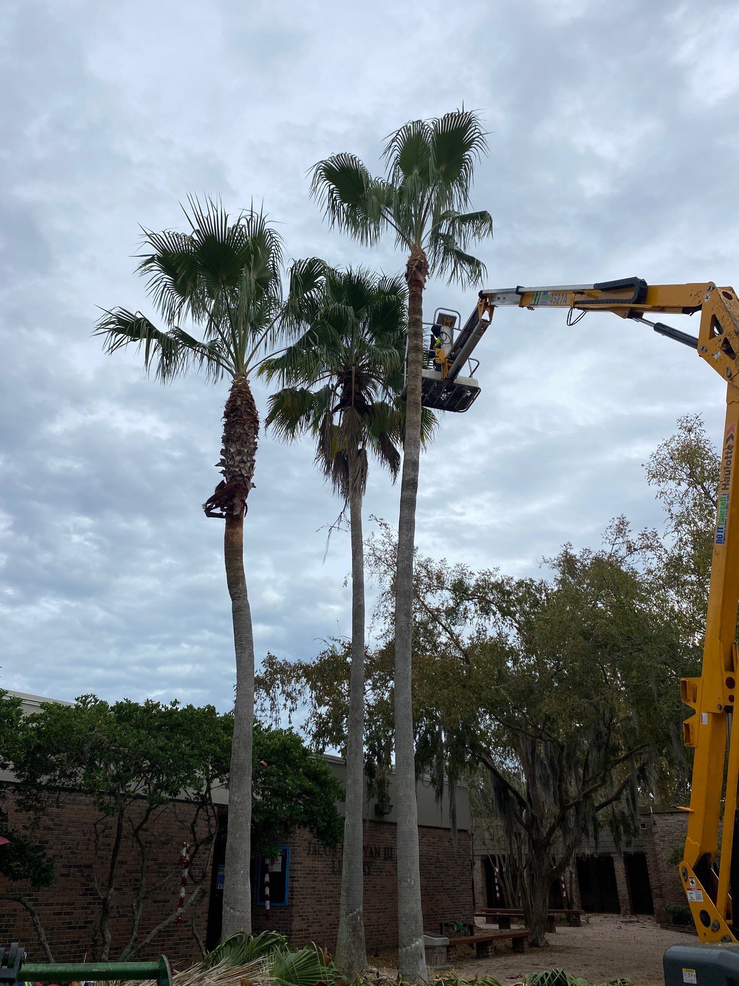 Volunteer Work | Episcopal High School of Jacksonville by ProGreen Services