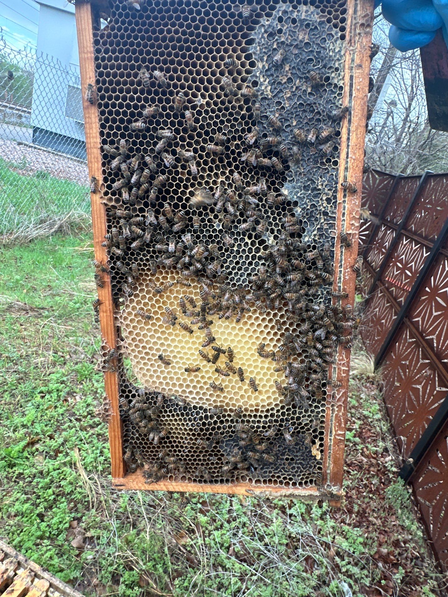 Apartments on the Trails by Rockwall Honey Bee Company
