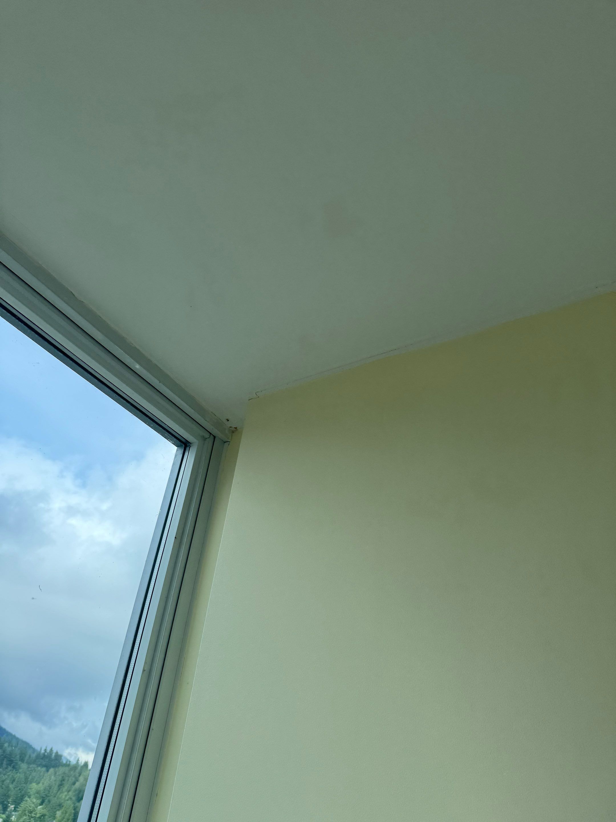 Touch up and painting project  by YVR Construction Group