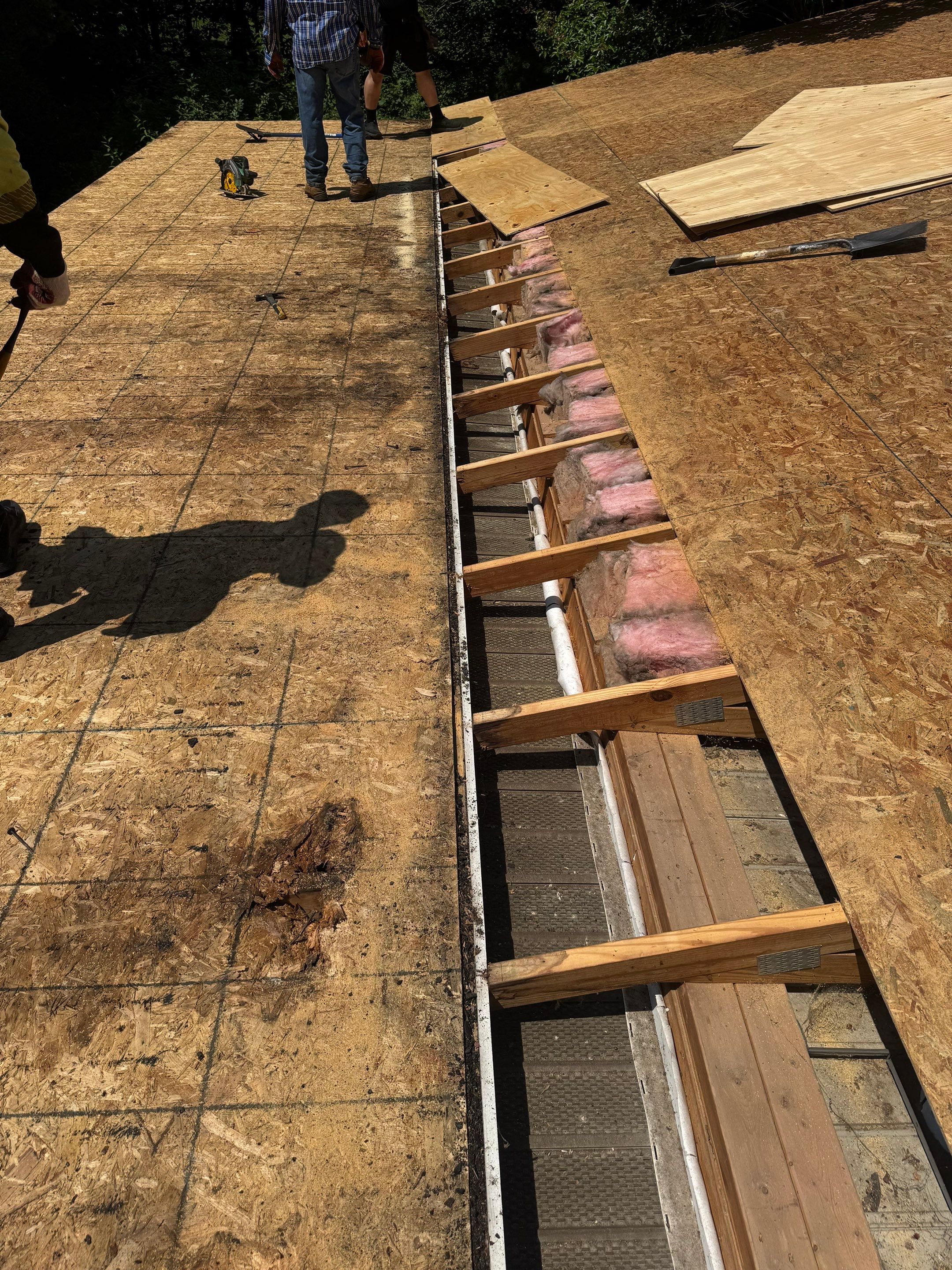 Roof Replacement - Landmark PRO Red Oak by Winchester Roofing