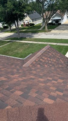 Turtle Shell gutter protection installation in Villa Park, IL 60181, photograph 13