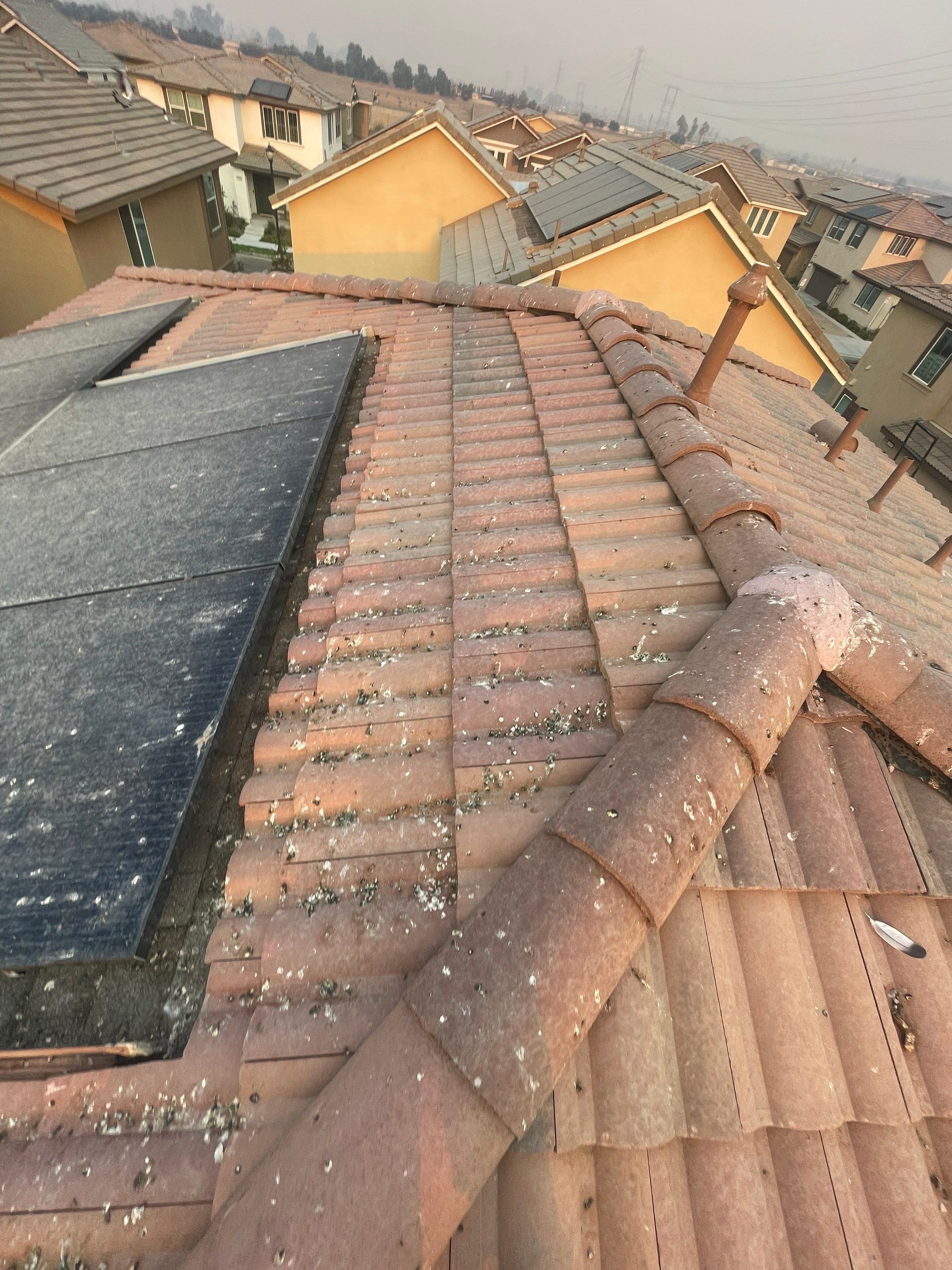 Solar Panel Bird Proofing in Ontario Ca by Palm Coast Solar Cleaning