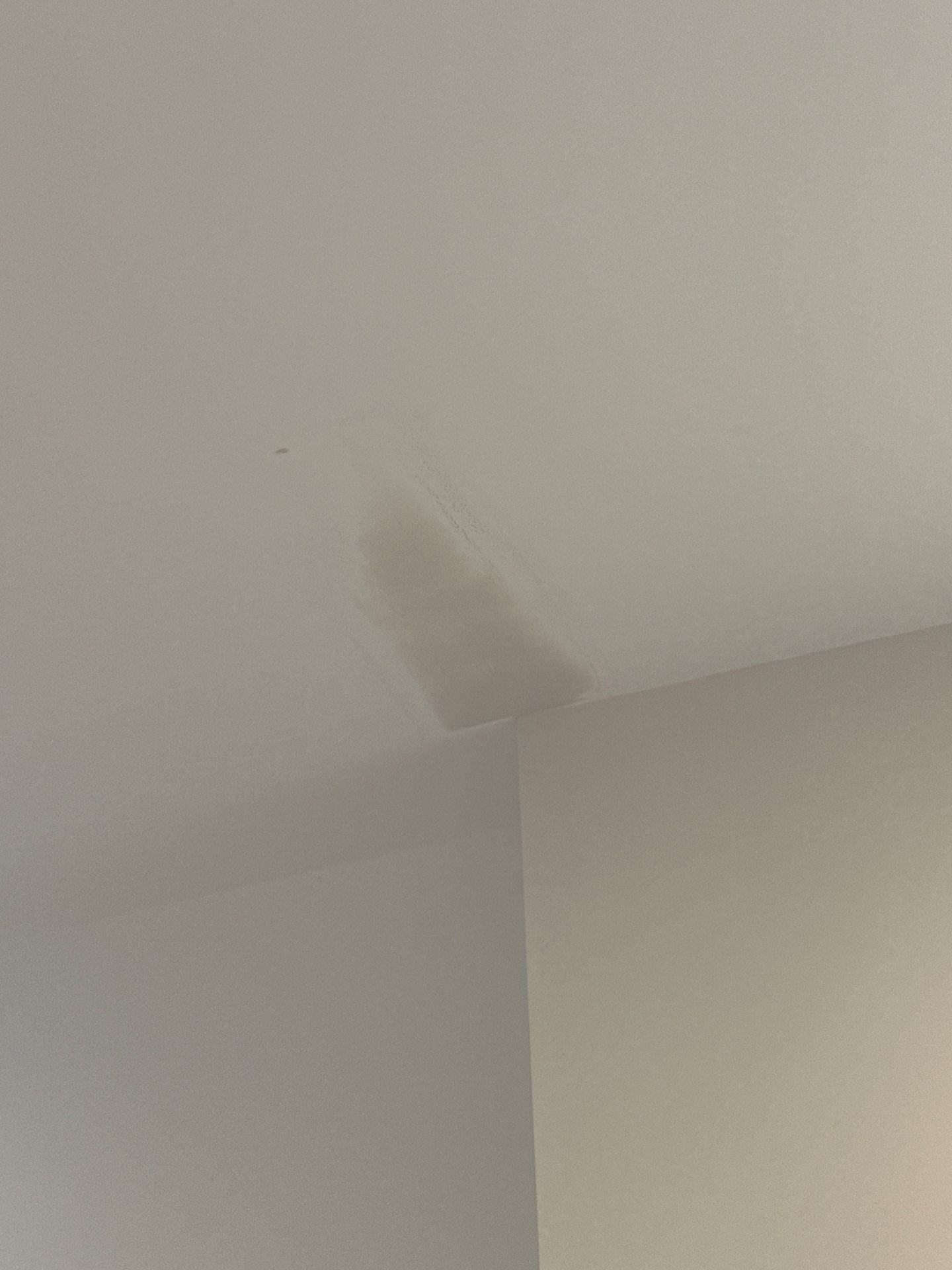 Interior House Painting in Washington, DC by My Painter 