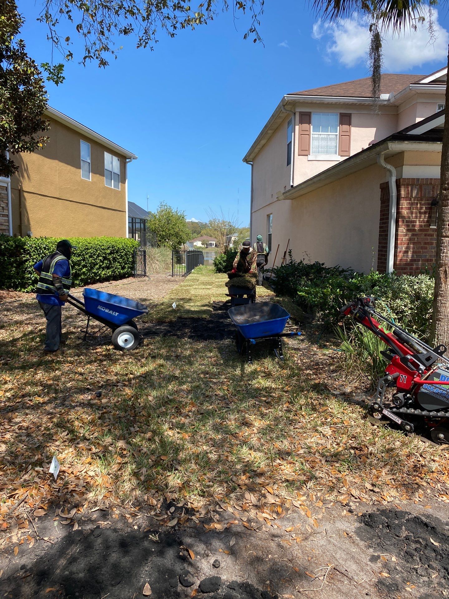 Residential | Sod Install by ProGreen Services