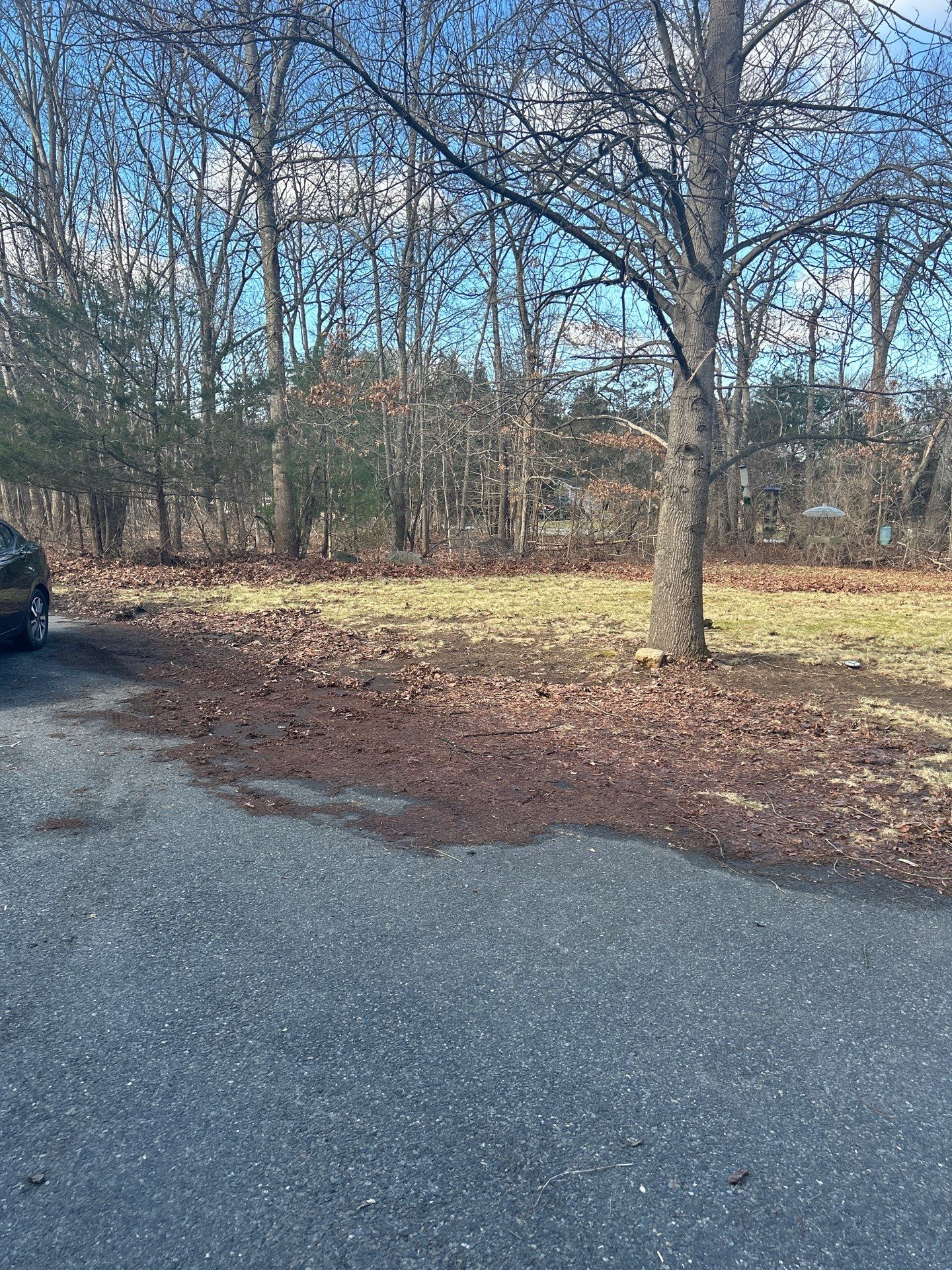 Landscape Walkthrough by LaMere Landscaping and Property Maintenance