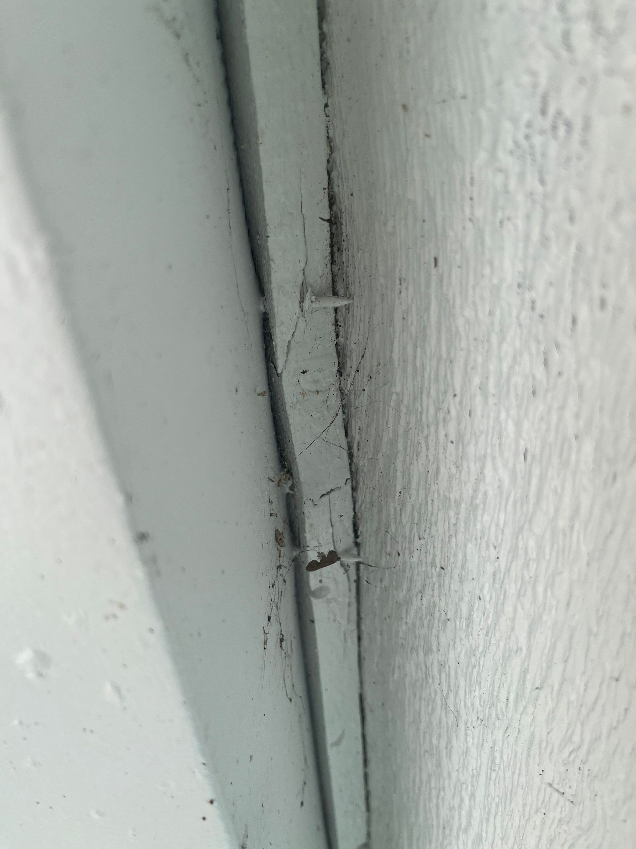 Leaf Guard System for Sarasota Homeowners by Gutter Professors