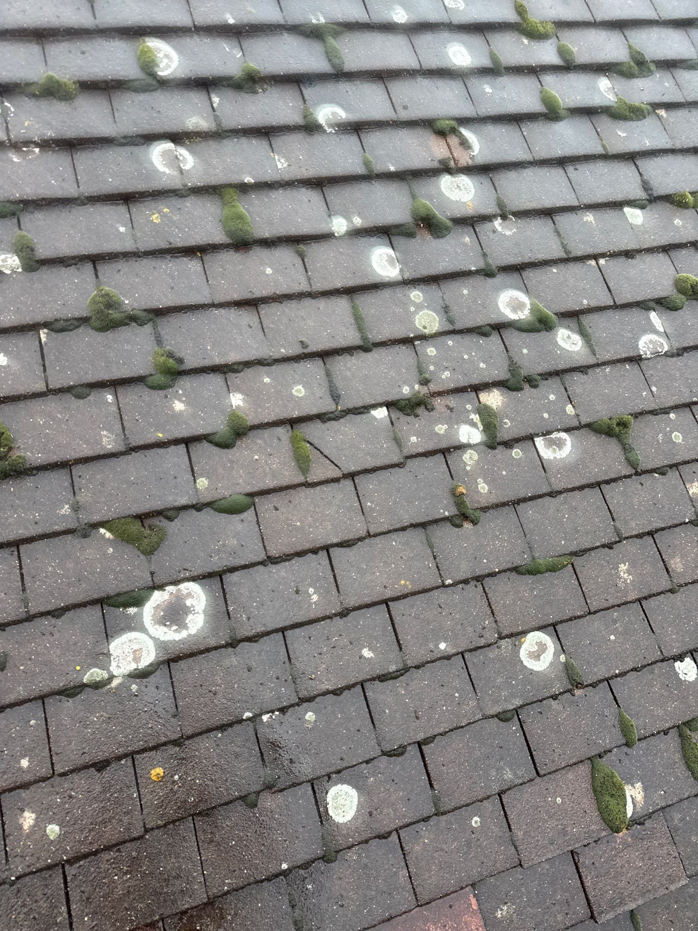 Rood Cleaning Epsom by Ges Exterior Cleaning ltd