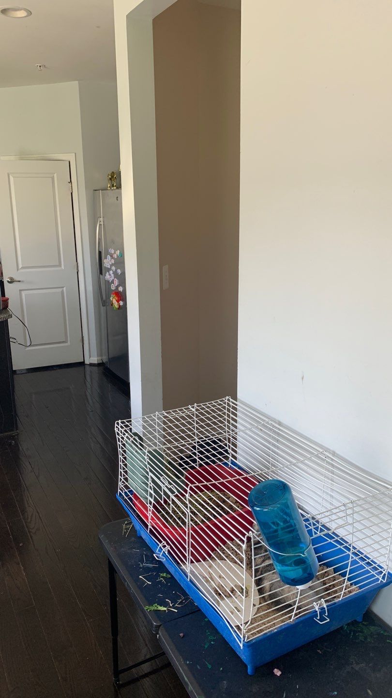 Home Restoration by Greenspring Construction Services