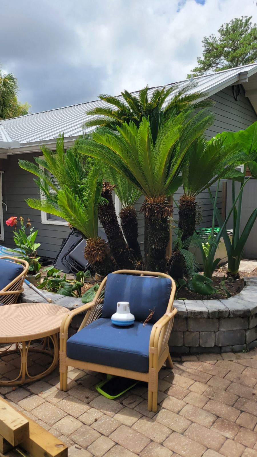 Landscape Install & Clean Up | Residence by ProGreen Services