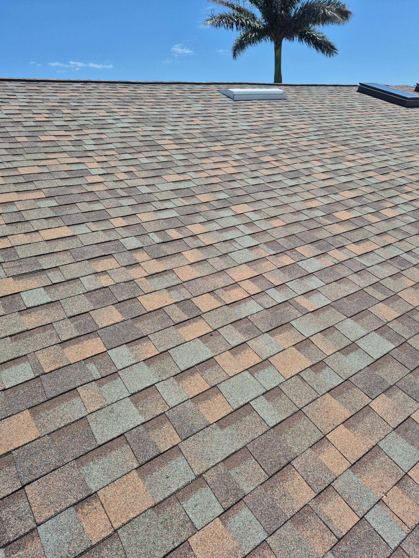 Project in St. Petersburg 33715 by Mitchell Roofing Company LLC 
