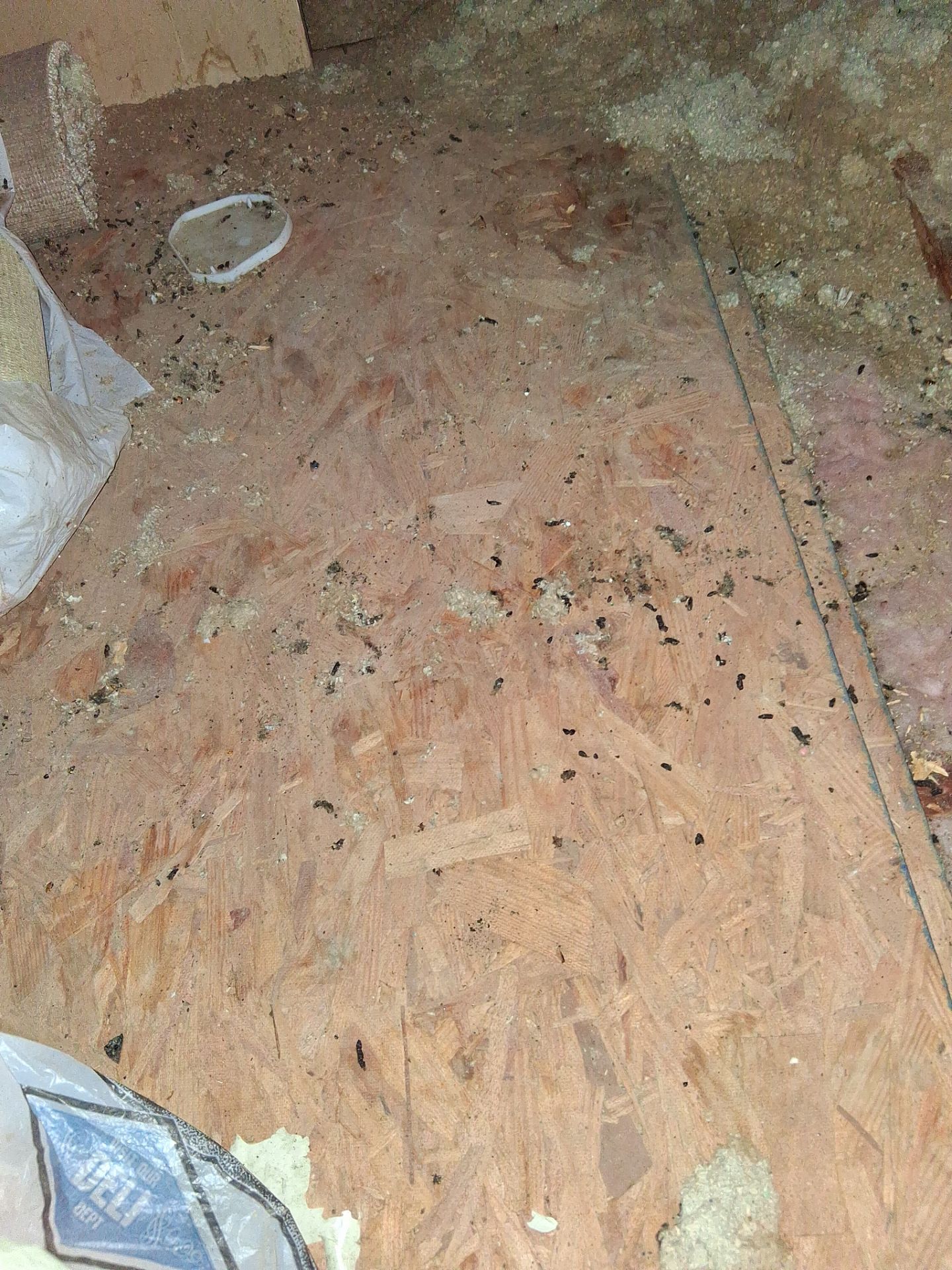 Attic Insulation and Repair by Toledo Basement Repair