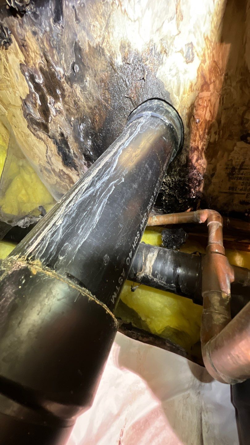 Mold Remediation by Accountable Home Services