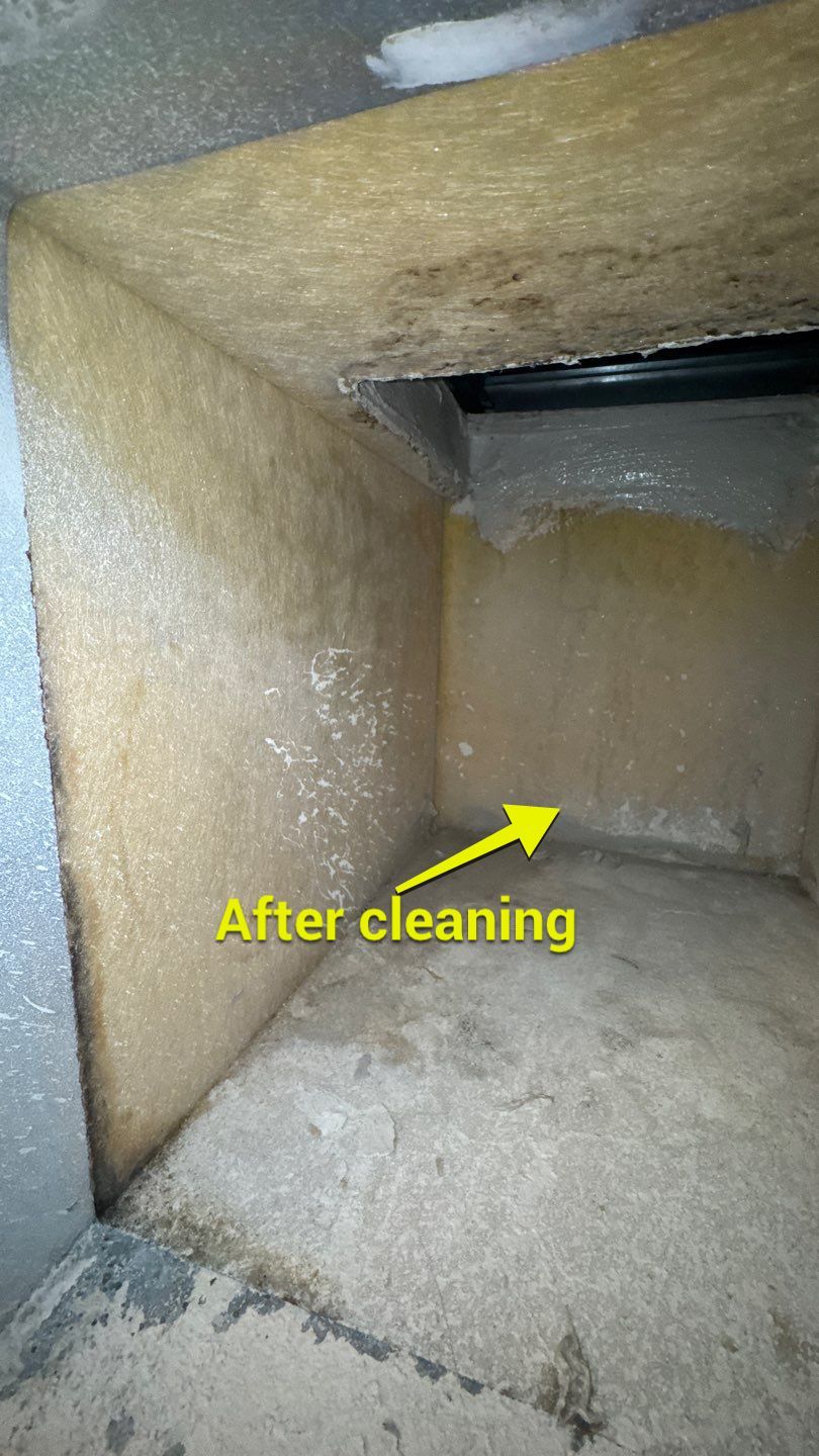 Air duct and Bathroom Exhaust Cleaning in Apopka by Hygienic Air, Inc