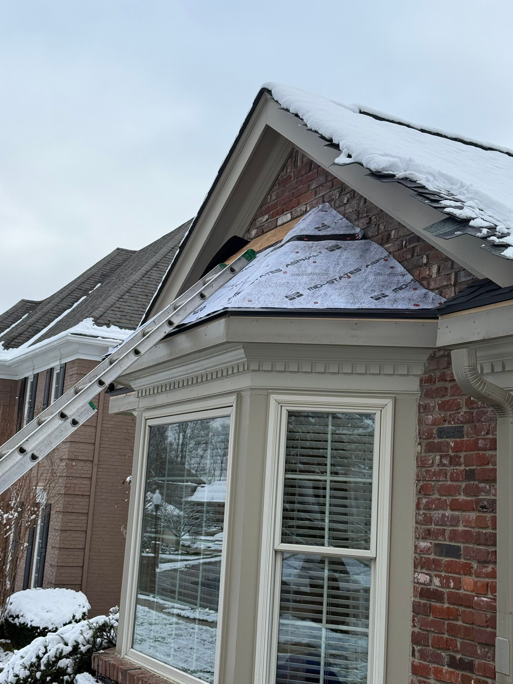 Project in Louisville, KY by GreenForce Restoration