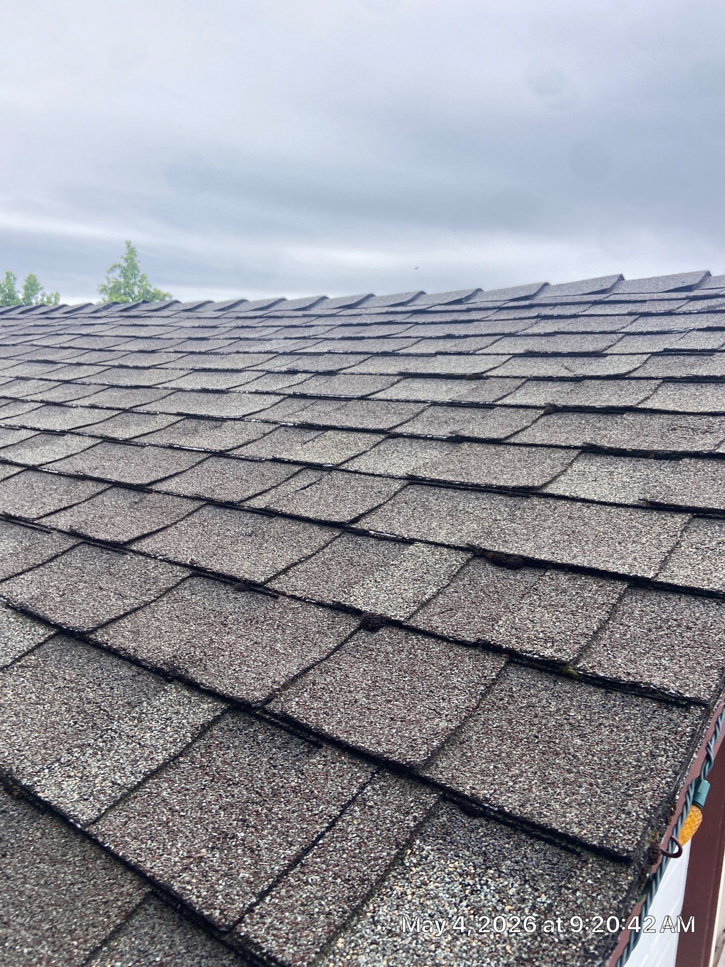 Roof Rejuvenation using Roof Maxx Treatment by Roof Maxx of Folsom