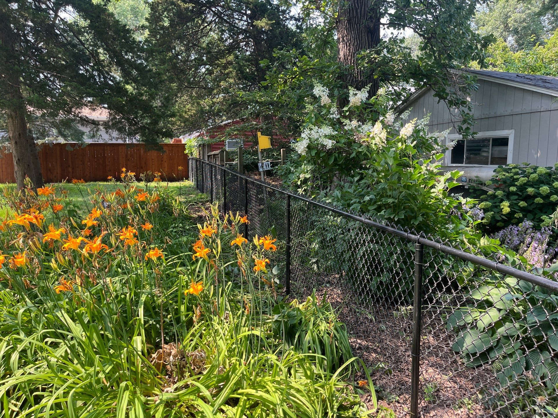 Residential Black Chain Link Fence Installation in Cedar Falls by Perfect Picket Fence and Stain