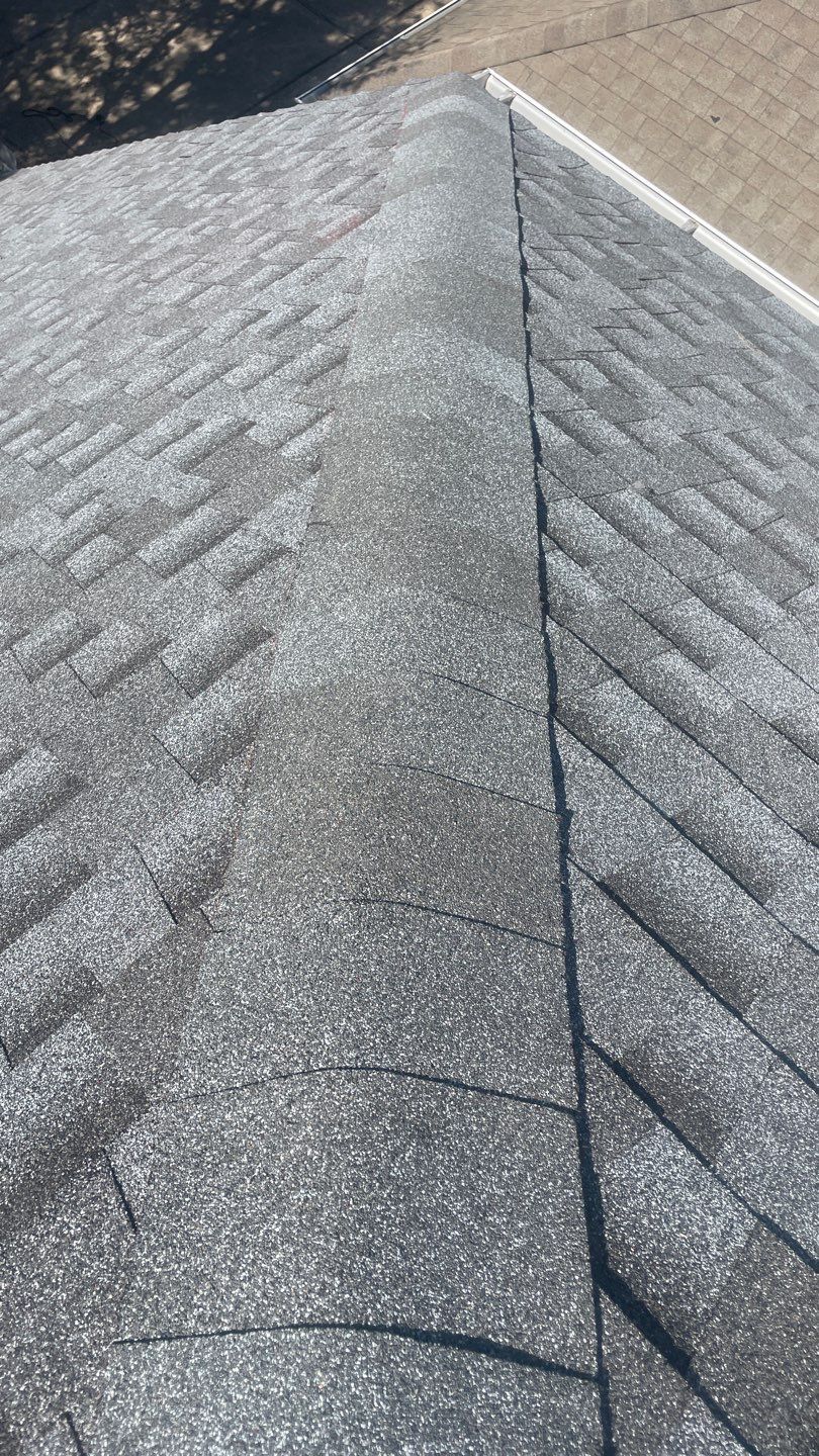 Jules F. by Boss Hogg Roofing