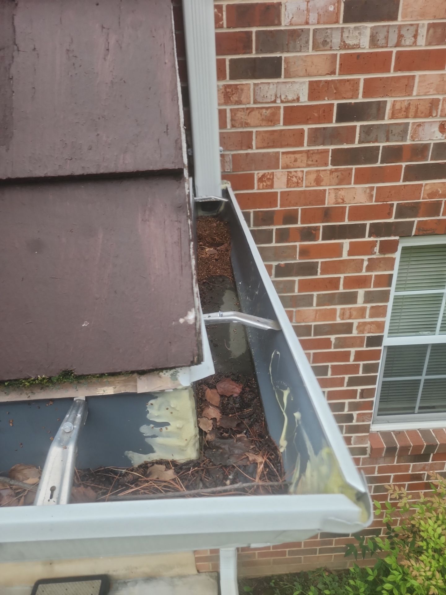 HOA gutter cleaning before photo