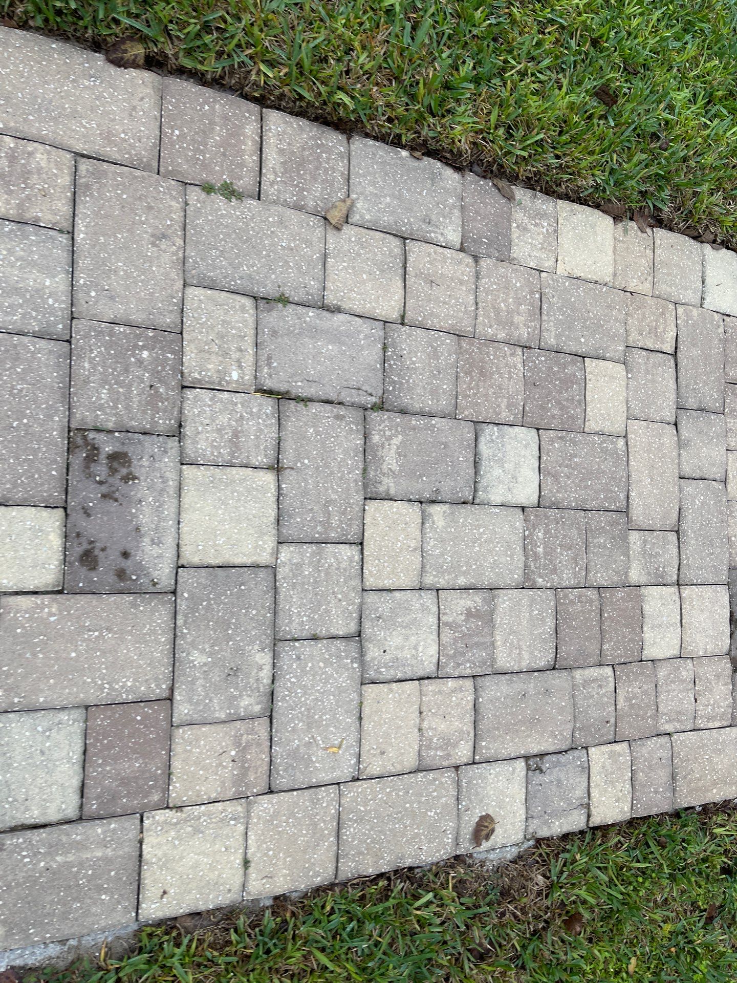Pavers using Concrete Sealant and PolySand by DuraSeal