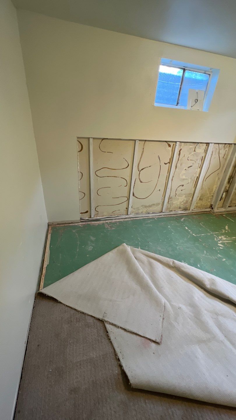 Mold Remediation by Accountable Home Services