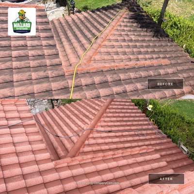 Barrel Tile Roof Cleaning