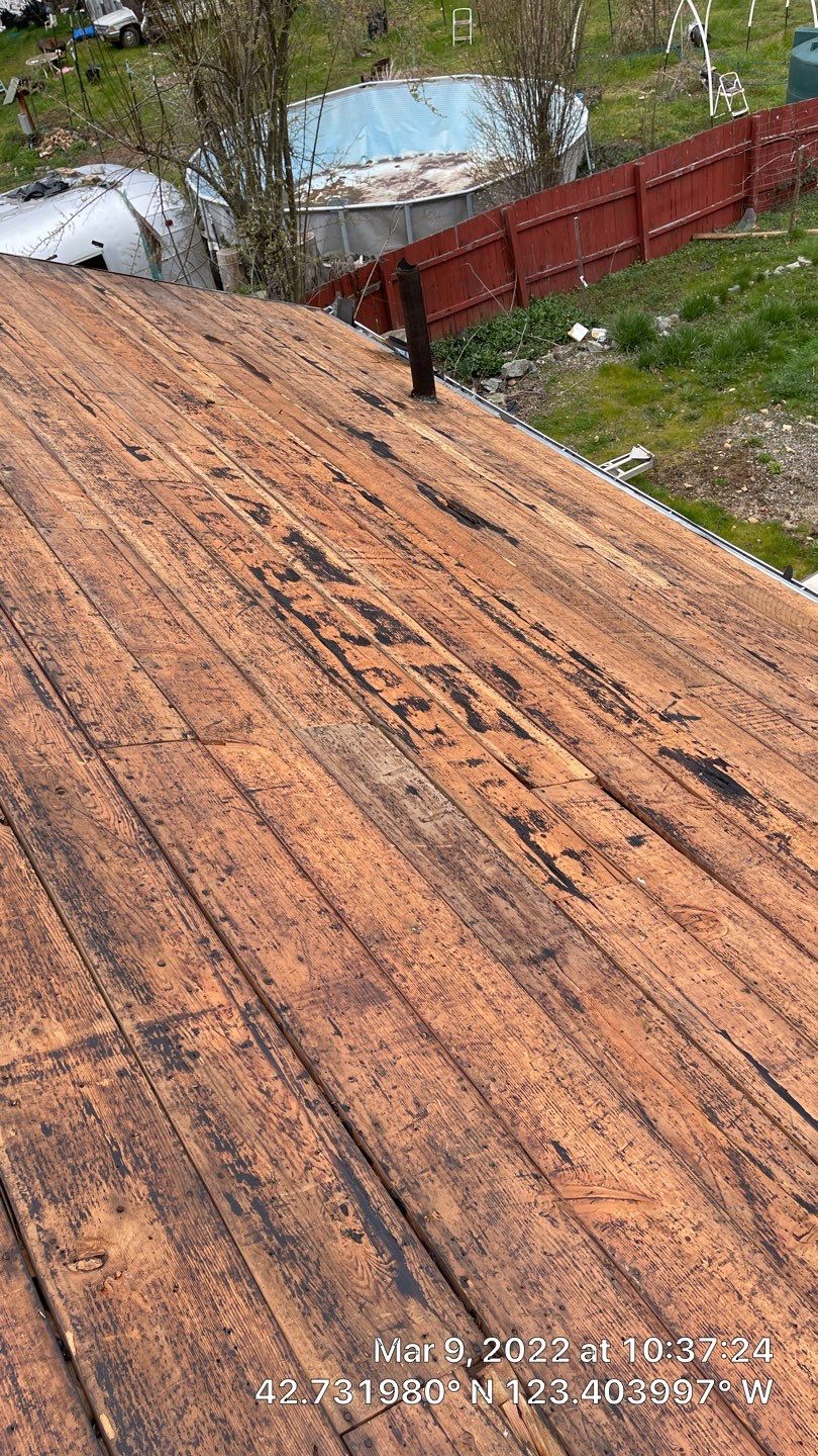 Silver Birch Shingles by Reimagine Roofing