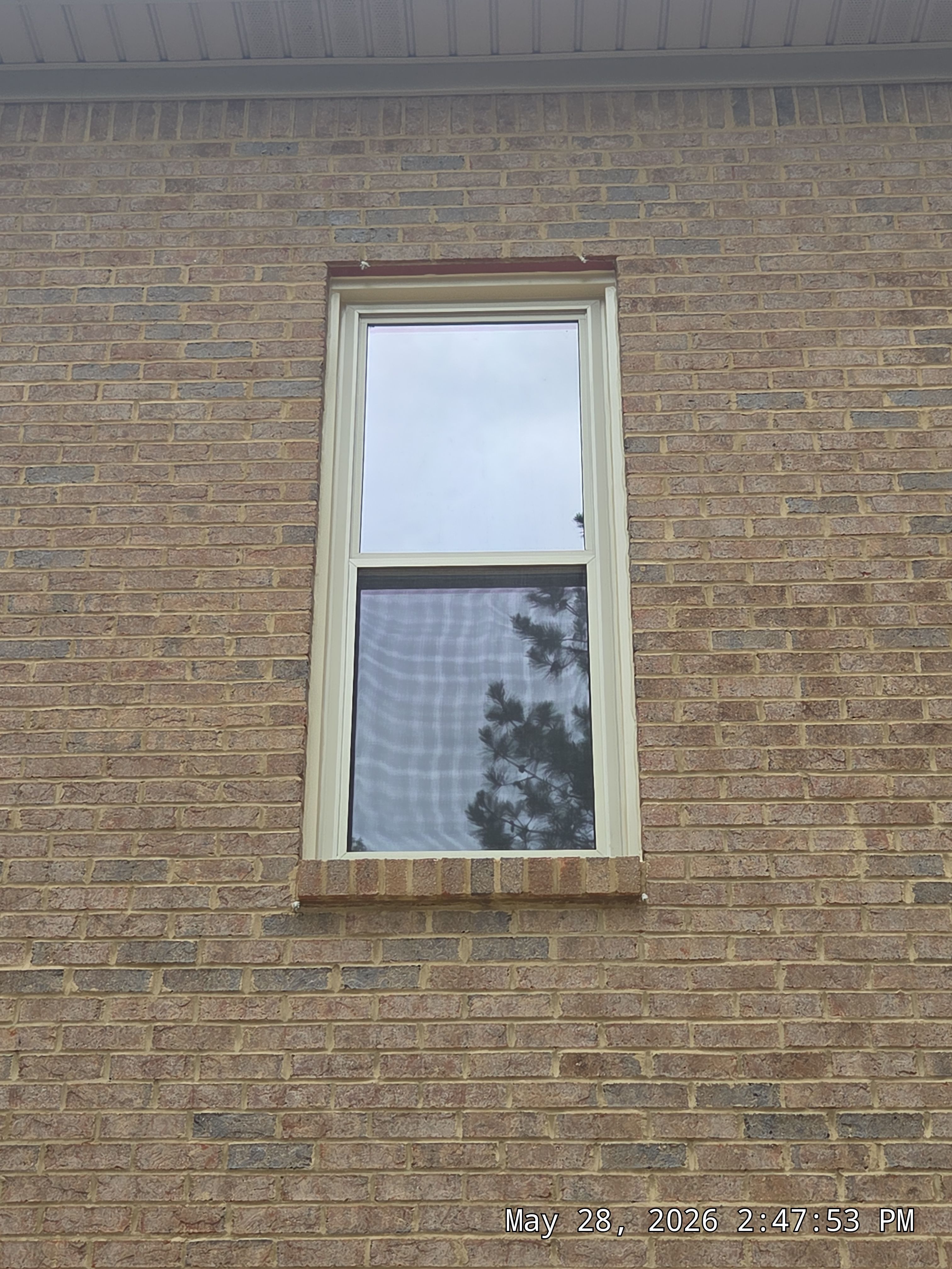 Bruner Project in Helena by The Window Source