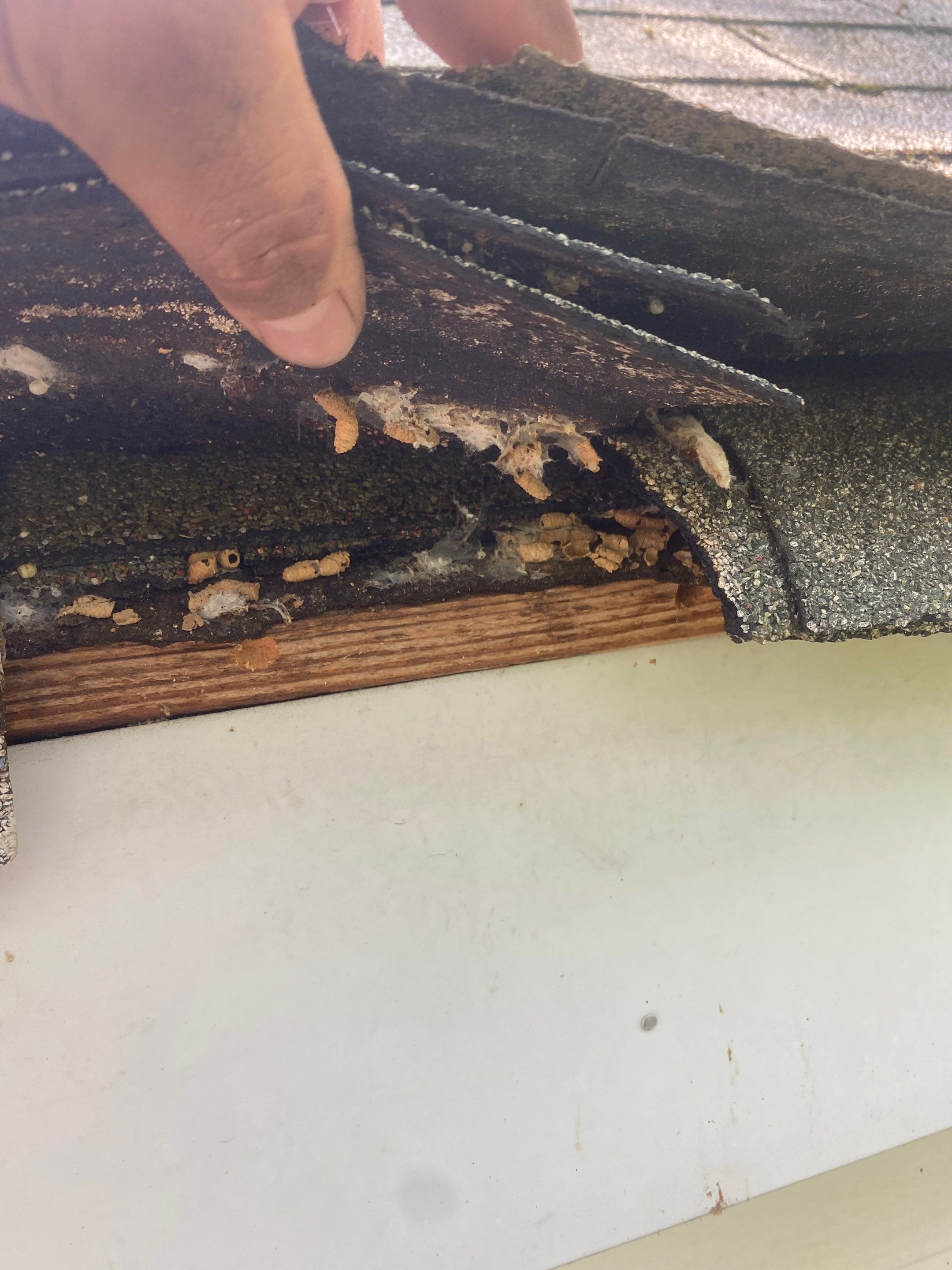 Residential Roofing Installation using CertainTeed Landmark by Deerfield Roofing LLC