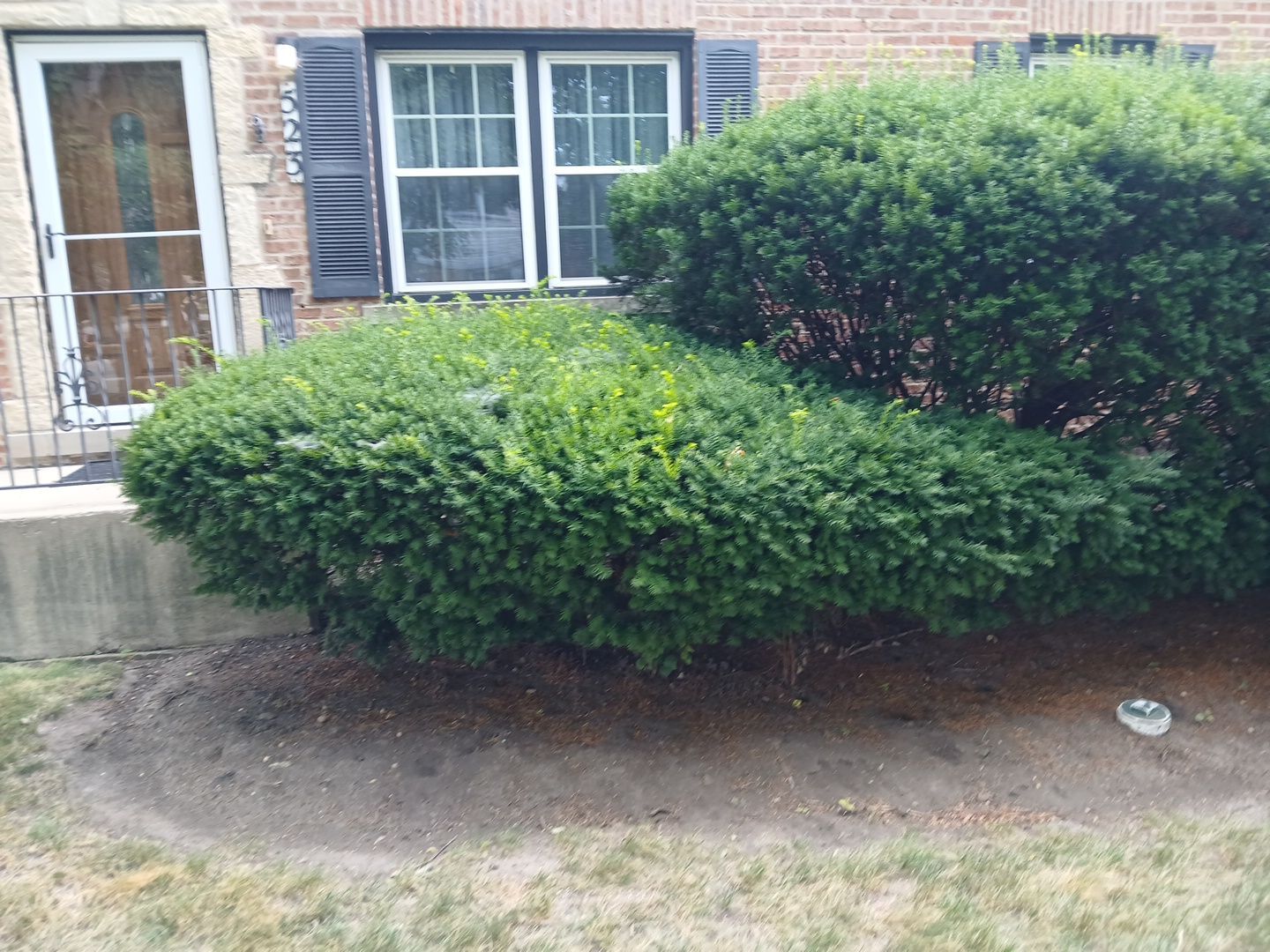 Catherine B. - Mount Prospect, IL by A&N