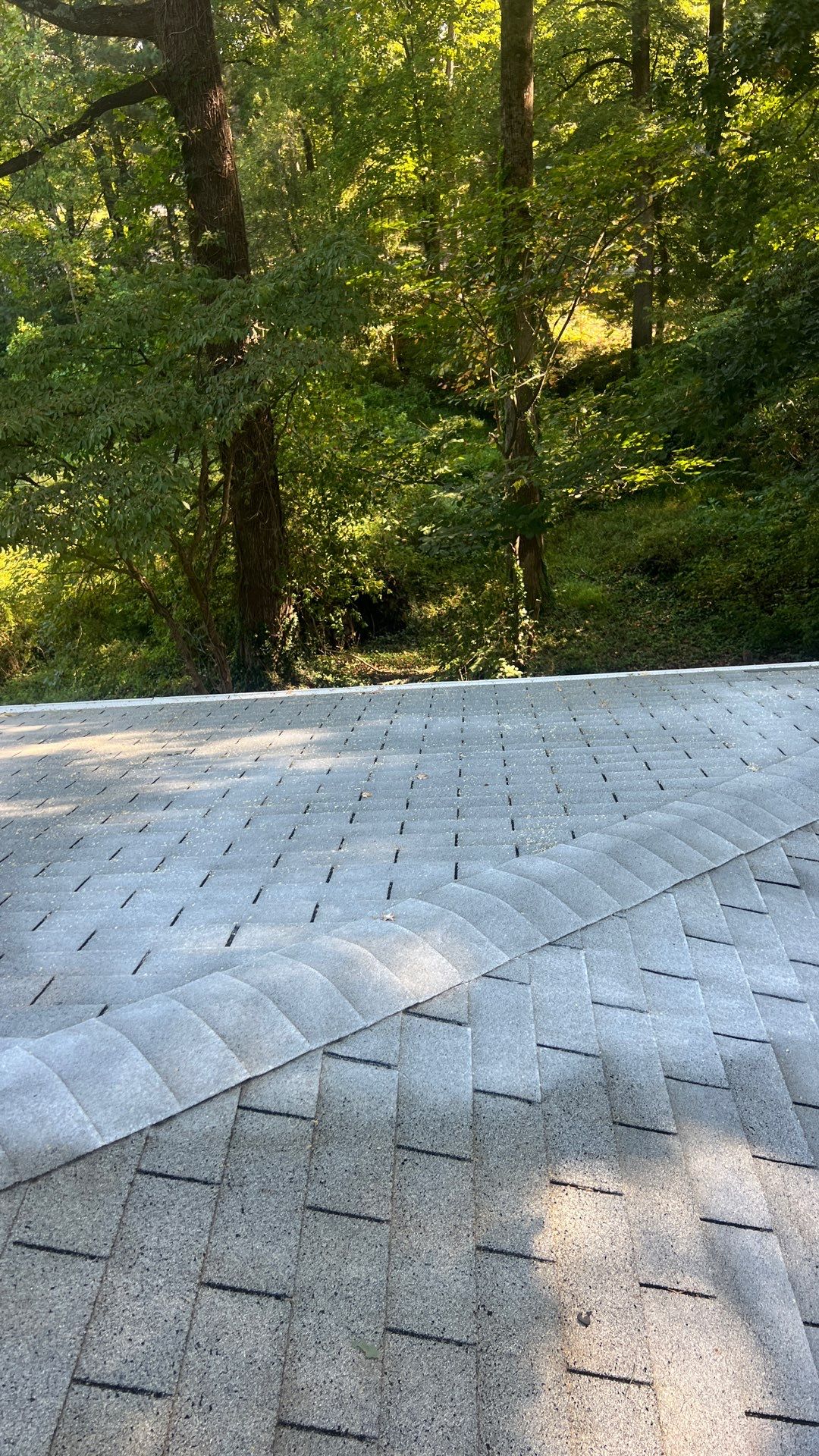 Project in Chesterfield by Roof Maxx of Midlothian