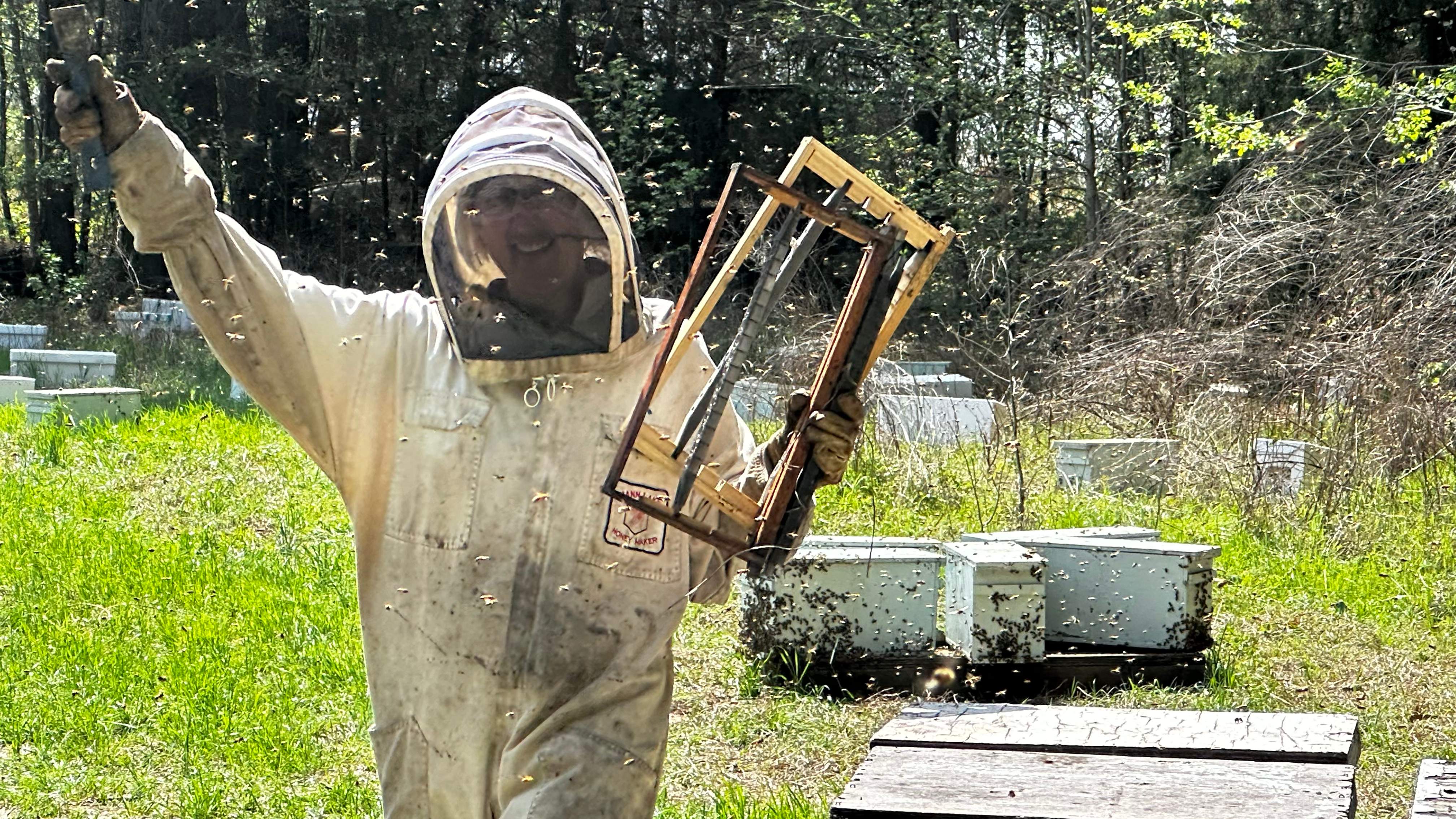 Traylor's Hay Meadow Apiary by Rockwall Honey Bee Company