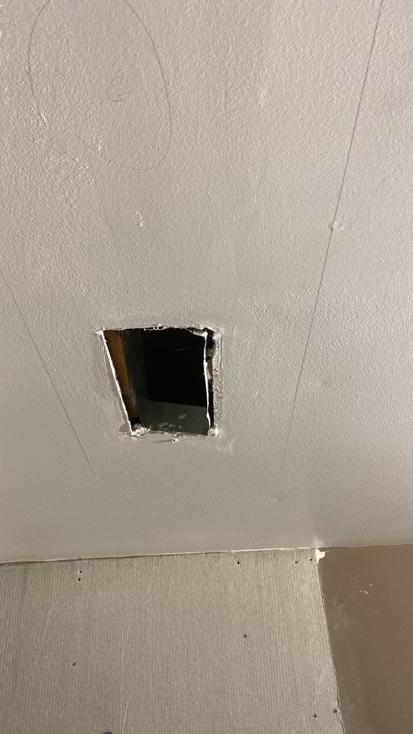 Home Renovation - Bucktown by Punch List