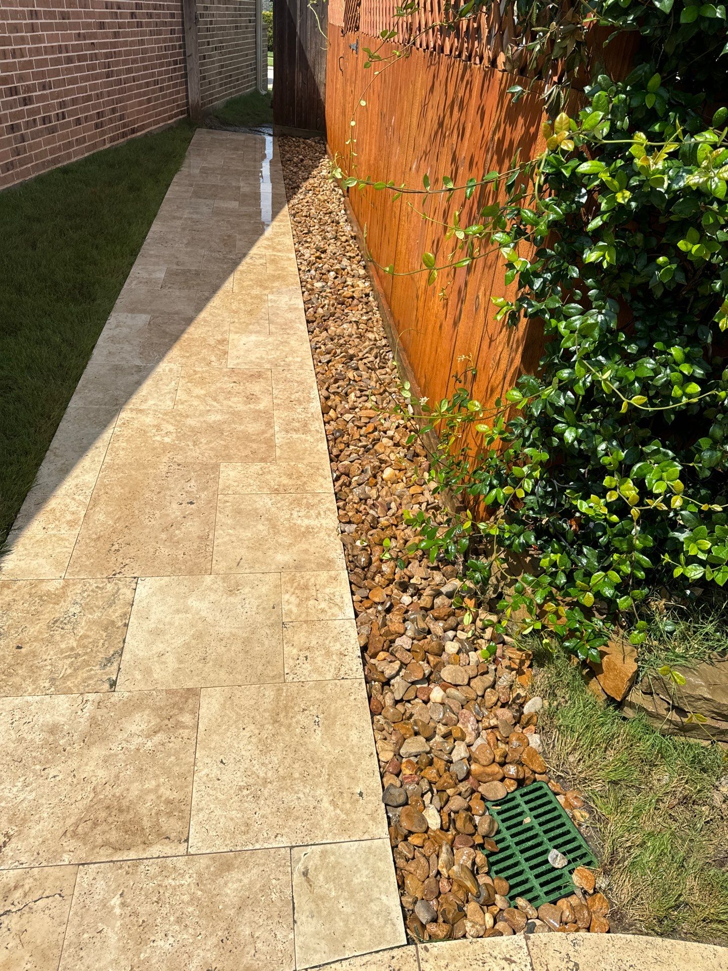 🌿 Pamela’s Backyard Makeover by Texas Urban Elements