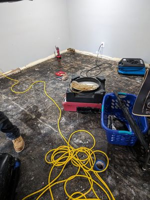 Mold Remediation in New Albany, IN