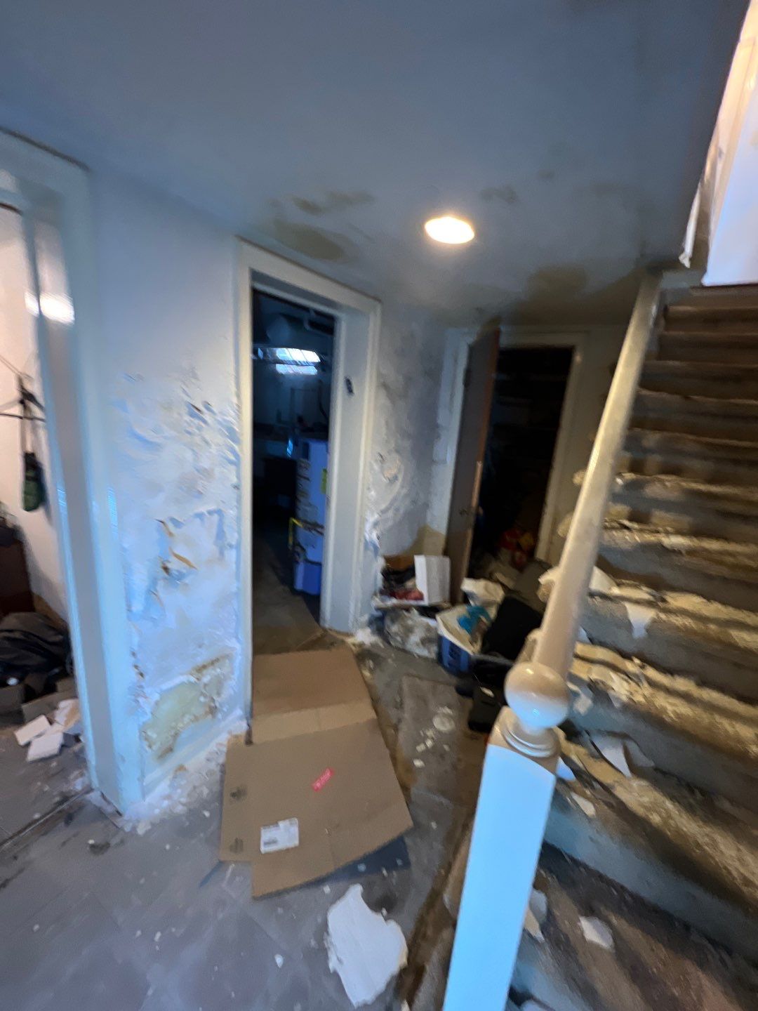 Mold Remediation by Accountable Home Services