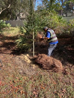 Deerwood Resident | Tree Installation