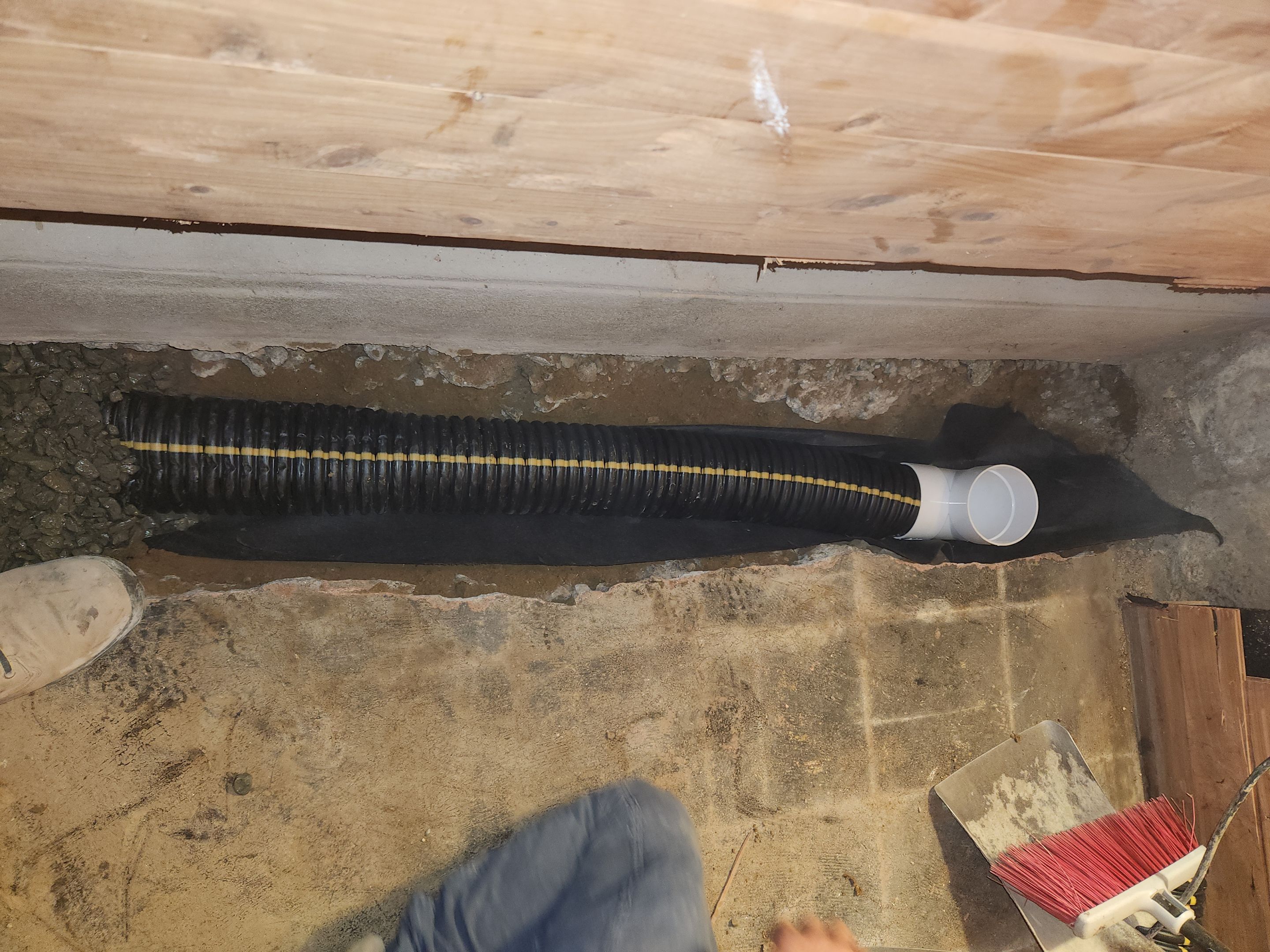 Interior French Drain & Mold Remediation in Mt Tabor NJ by Pure Service Pro, LLC 