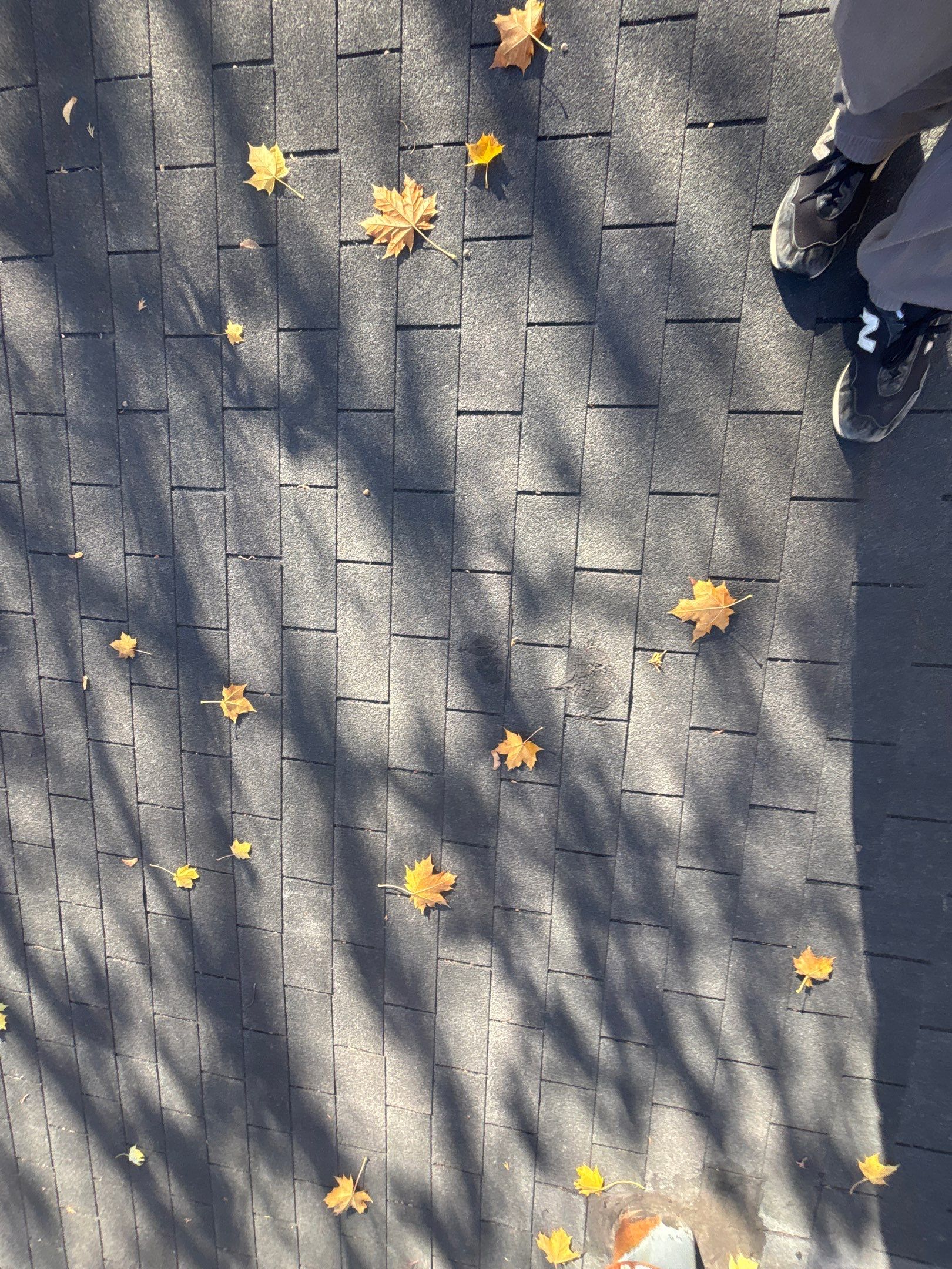 Roof Replacement using Owens Corning Estate Gray by 180 Contractors