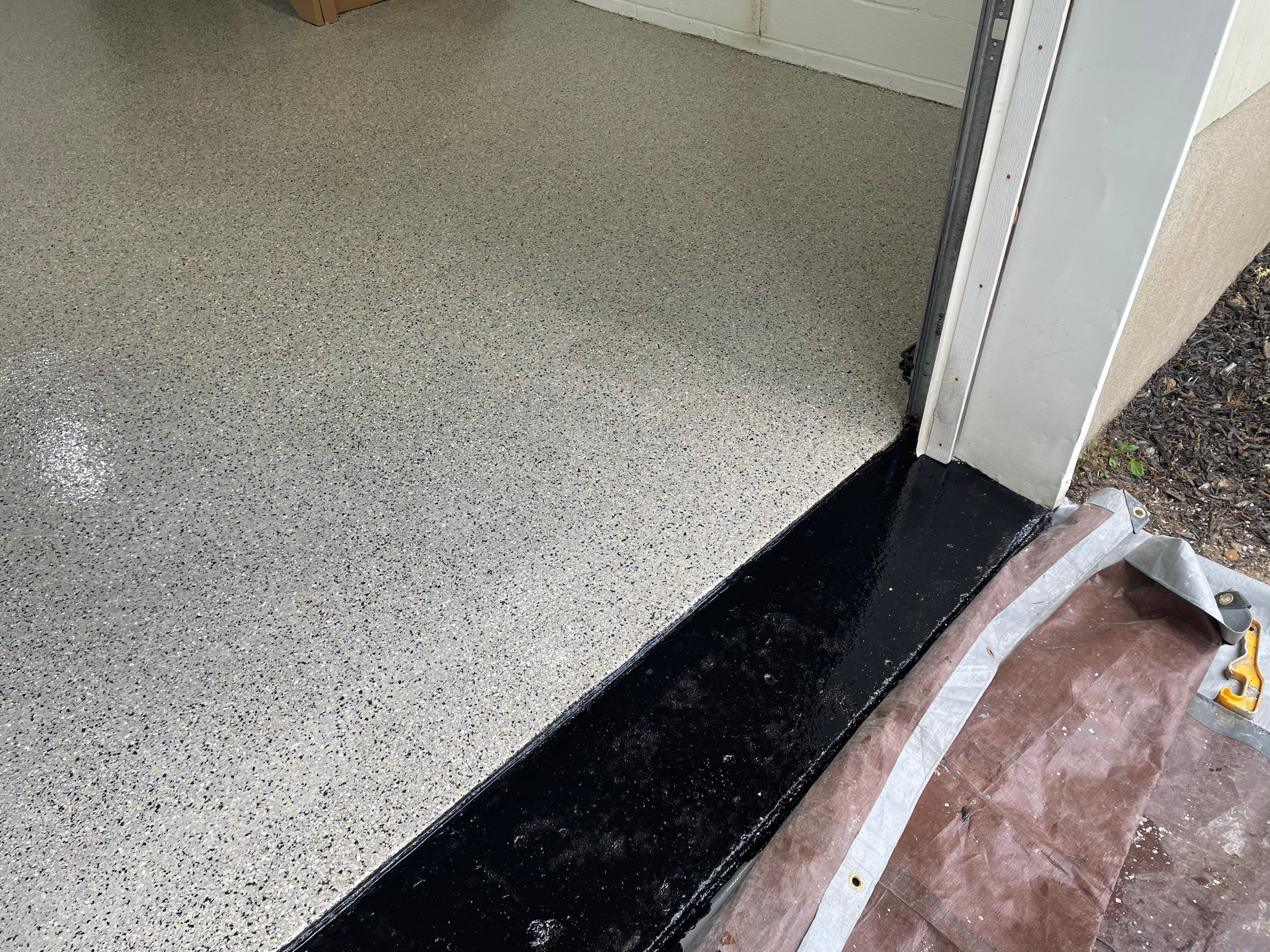 Dolphin by GarageExperts of Essex County