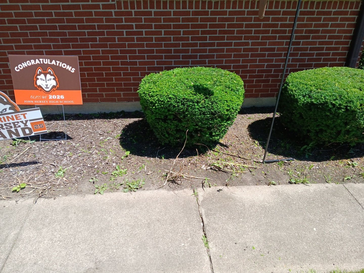 Martha C. - Mount Prospect, IL by A&N 