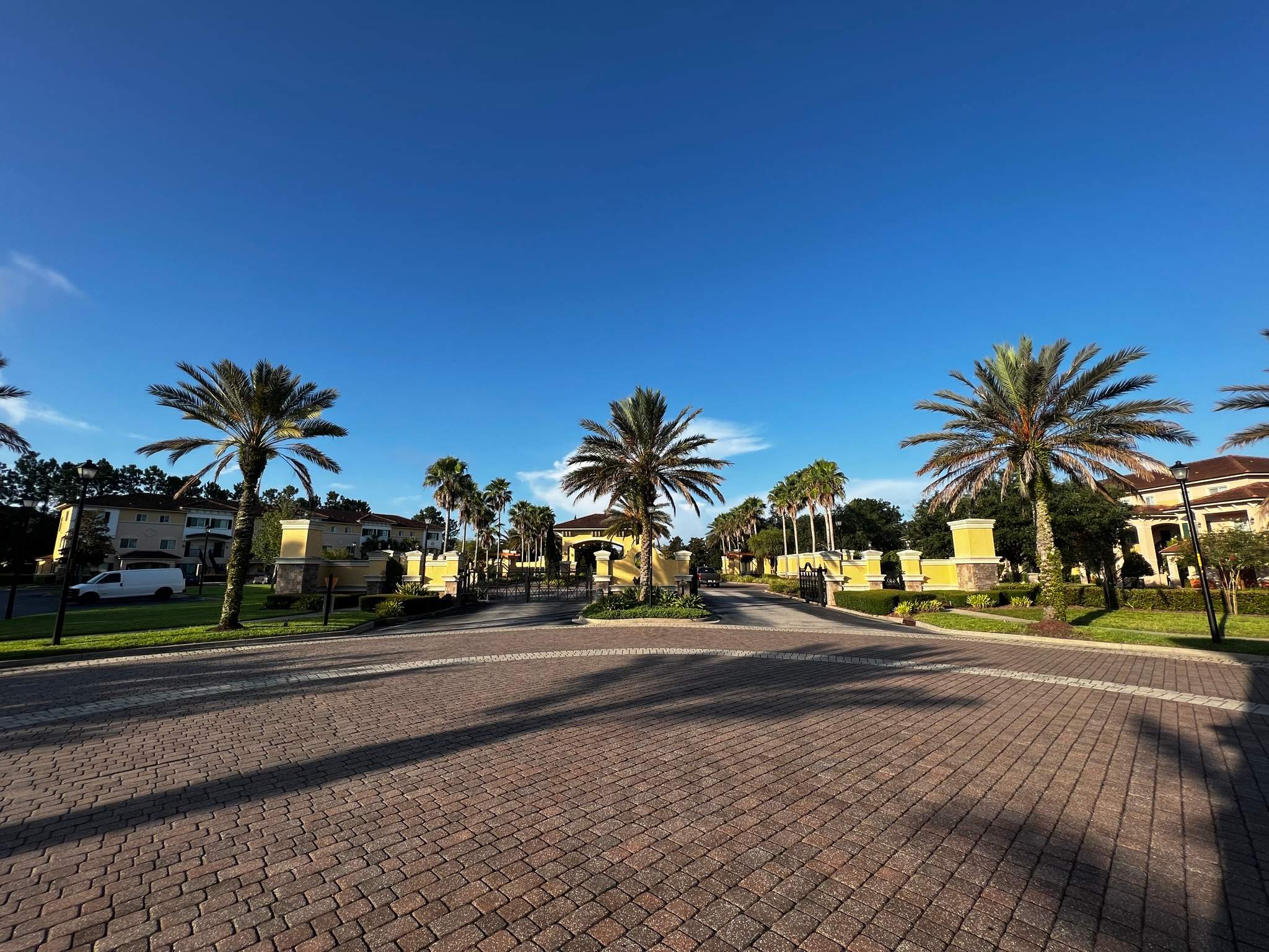 Palm Tree Trimming | IL Villagio Condominiums by ProGreen Services