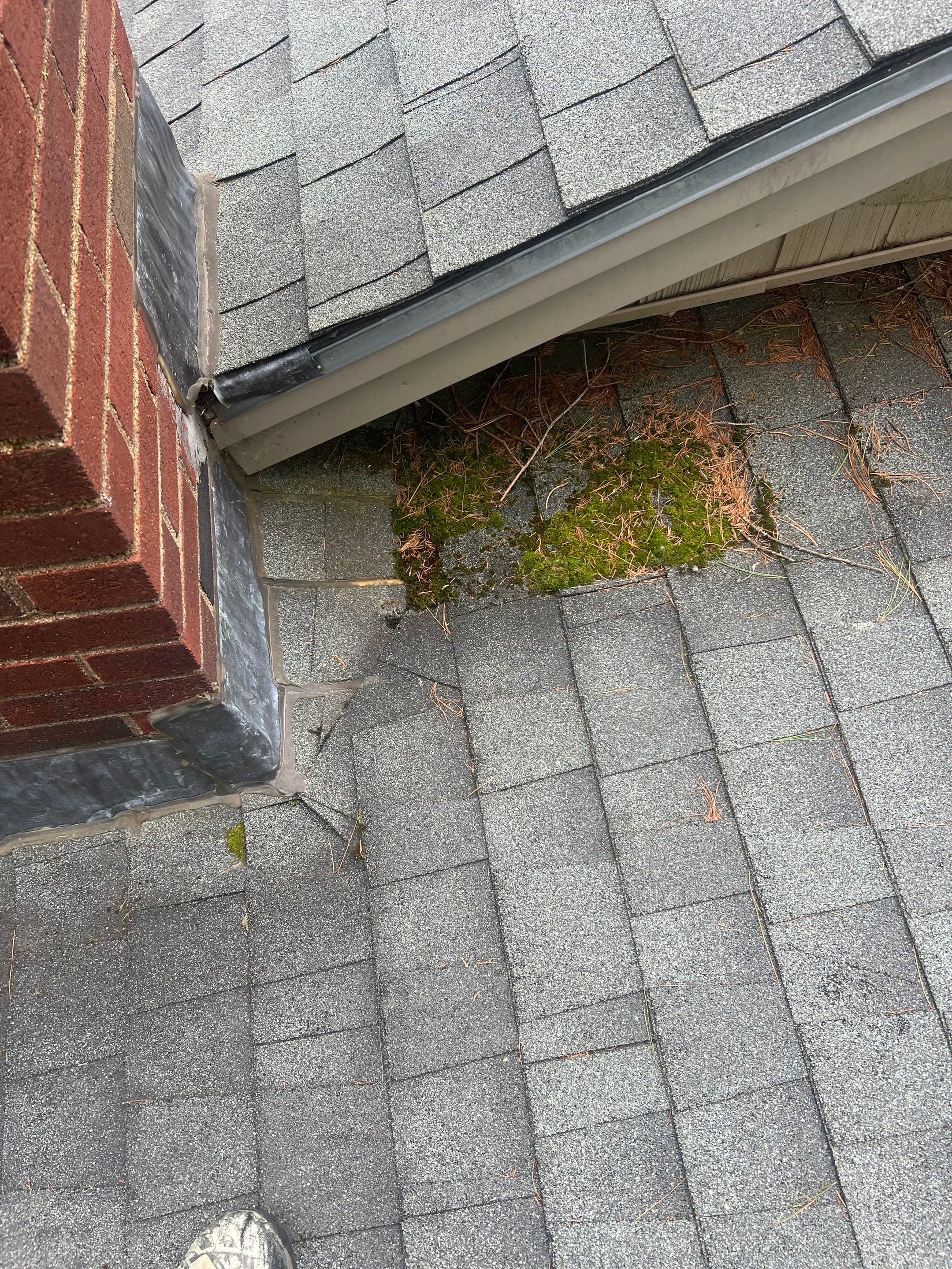 OC Roof Install On The Lake In Deerfield, New Hampshire by Tall pine roofing
