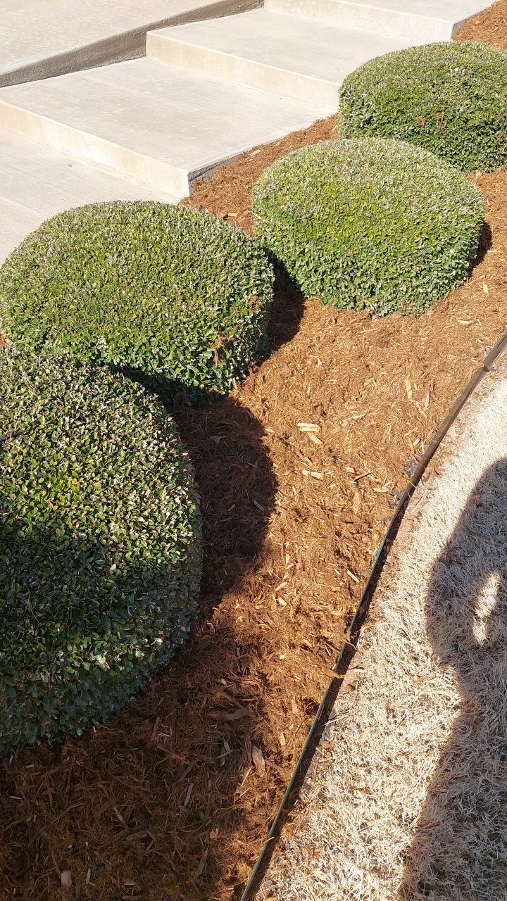Concrete Slab , Retaining Wall , Fence, and landscape. by Clays Services Inc