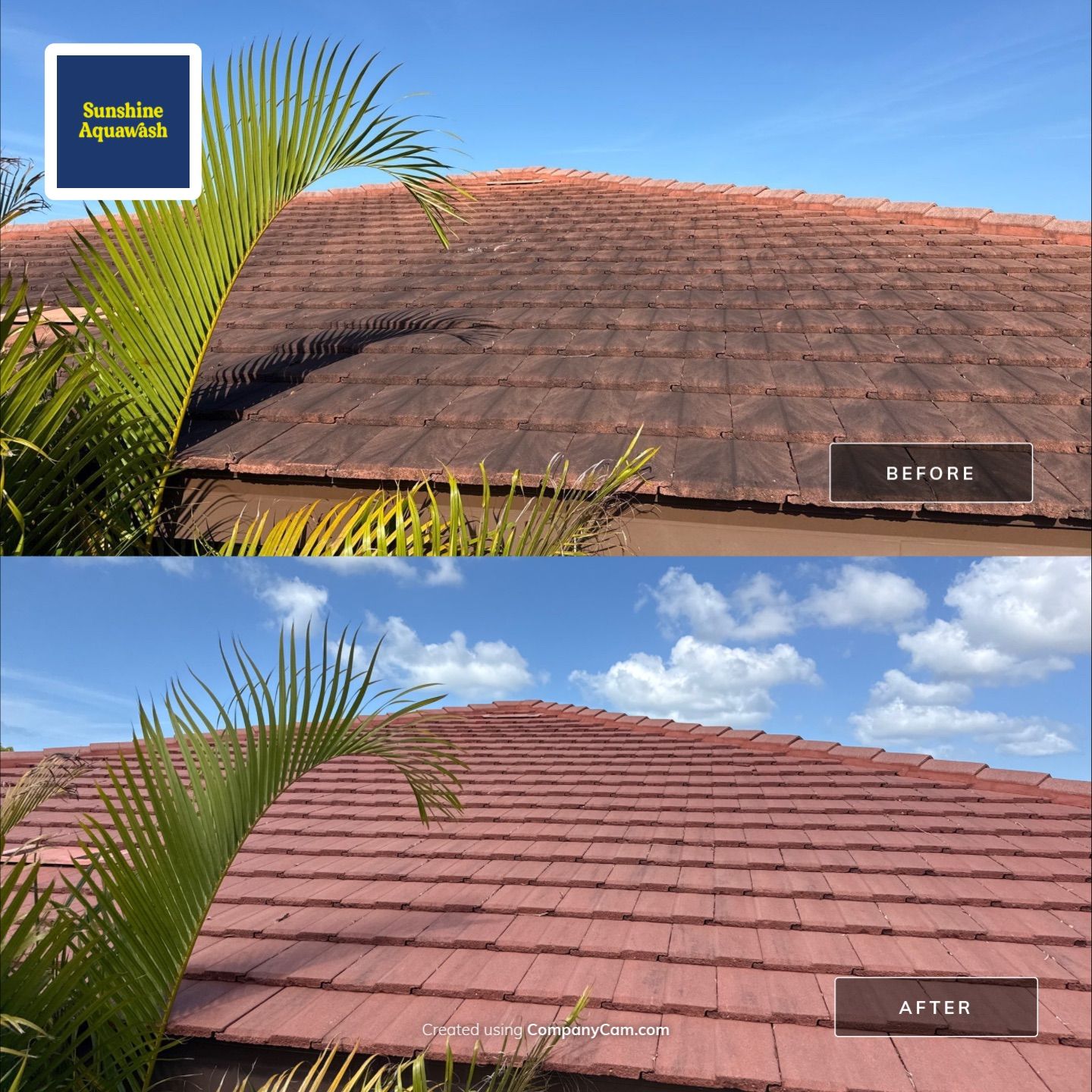 Tile Roof Cleaning in Vivienda at Bradenton, FL | No Roof Walking Method by Sunshine AquaWash