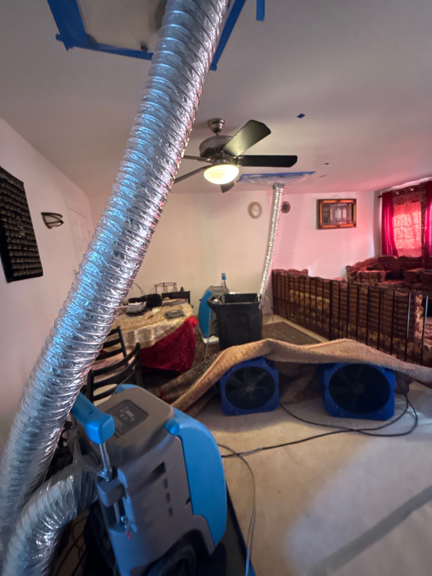 Project in Springfield by Restoration Doctor