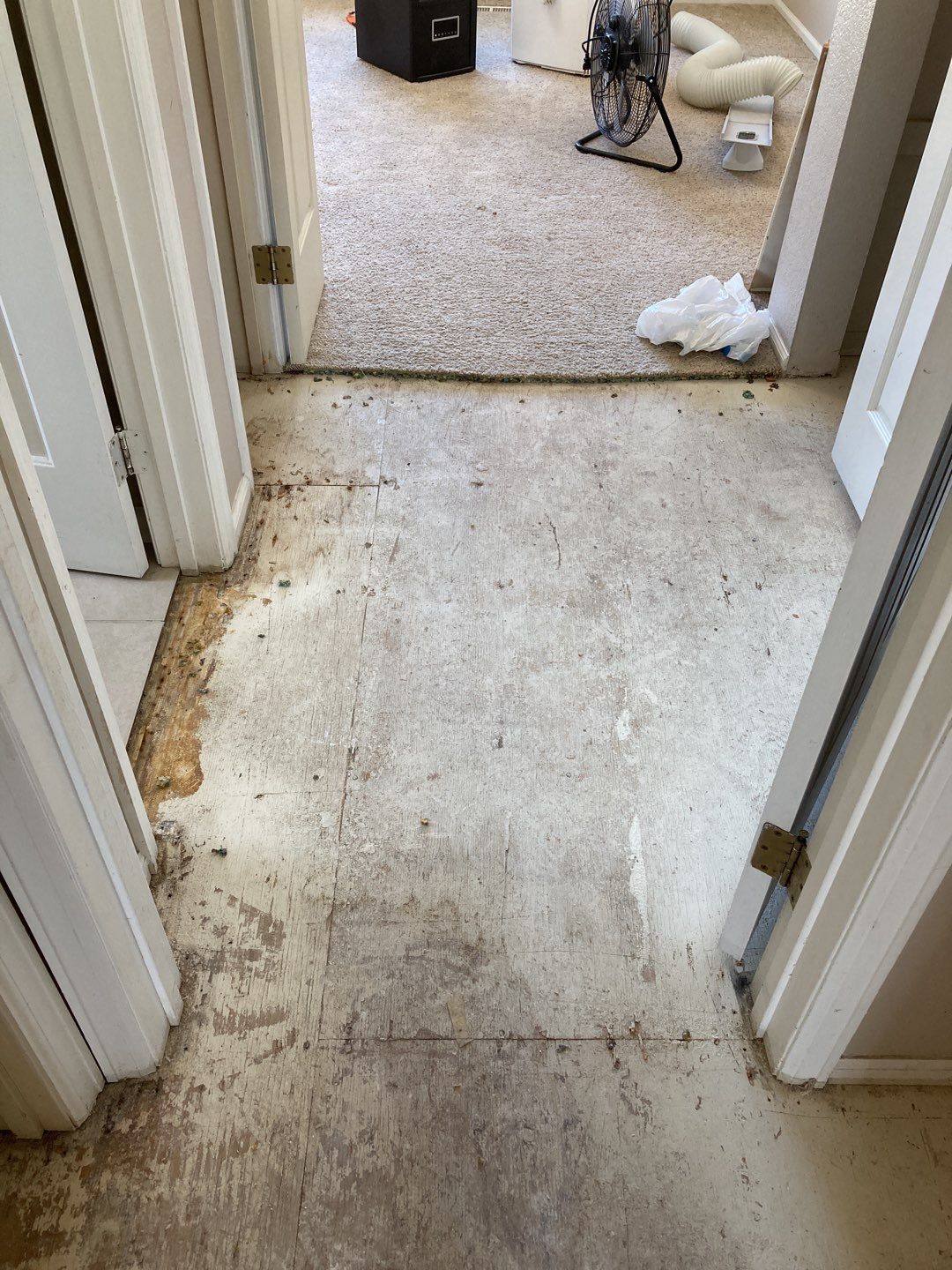 Water Damage  by Accountable Home Services