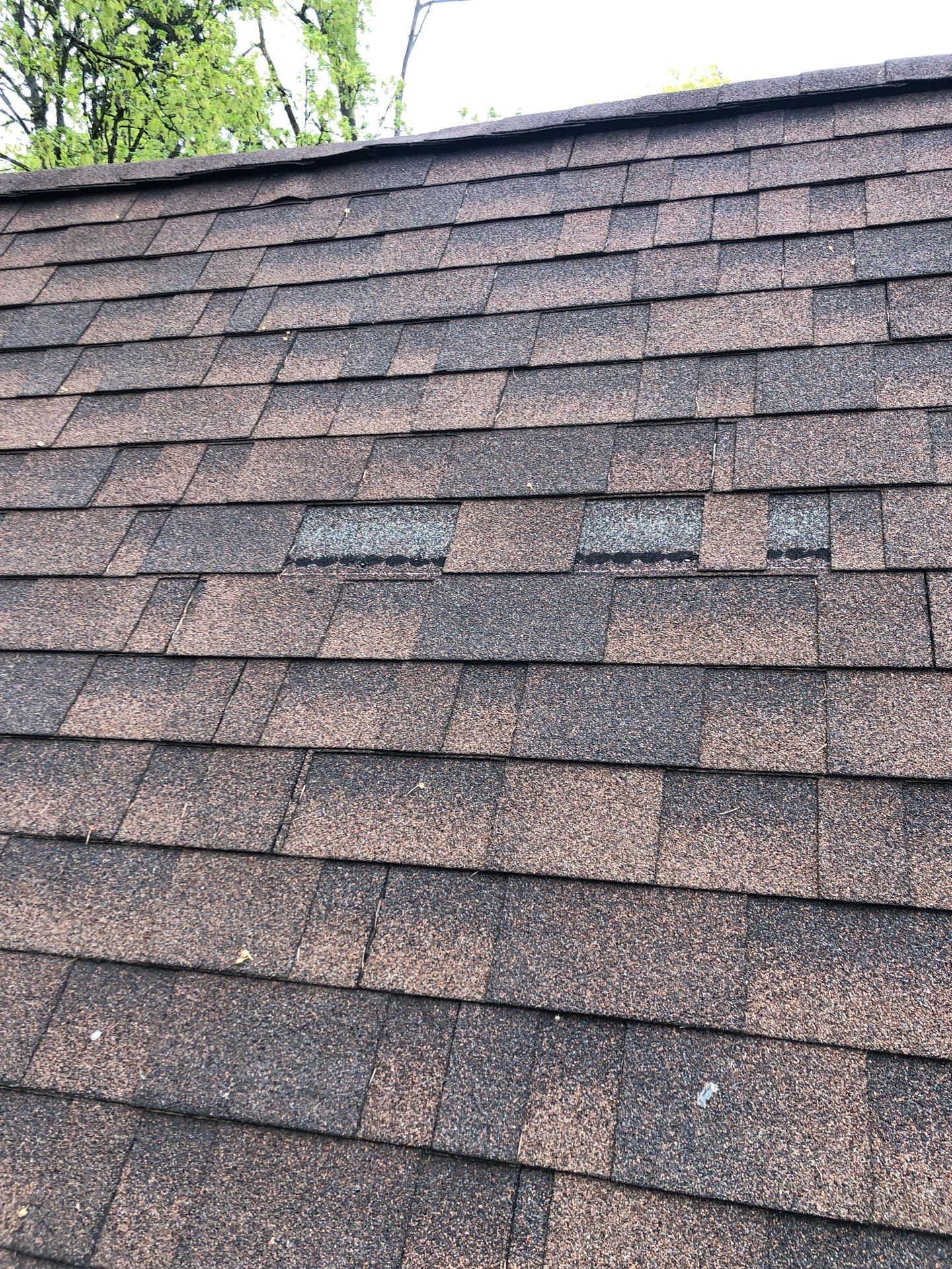 Project in Seattle by Connolly Construction Company