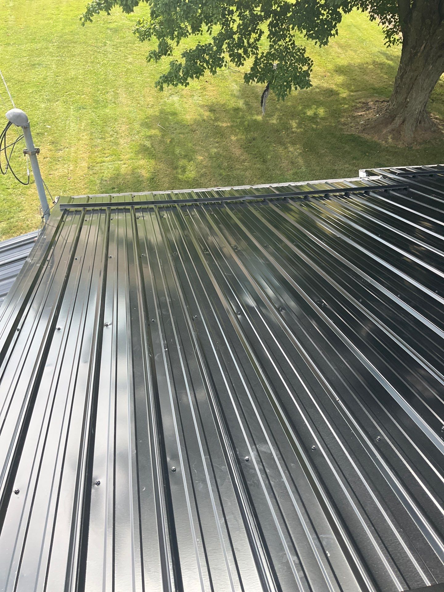 Alpha Rib, Color, Black by Eagle Eye Roofing