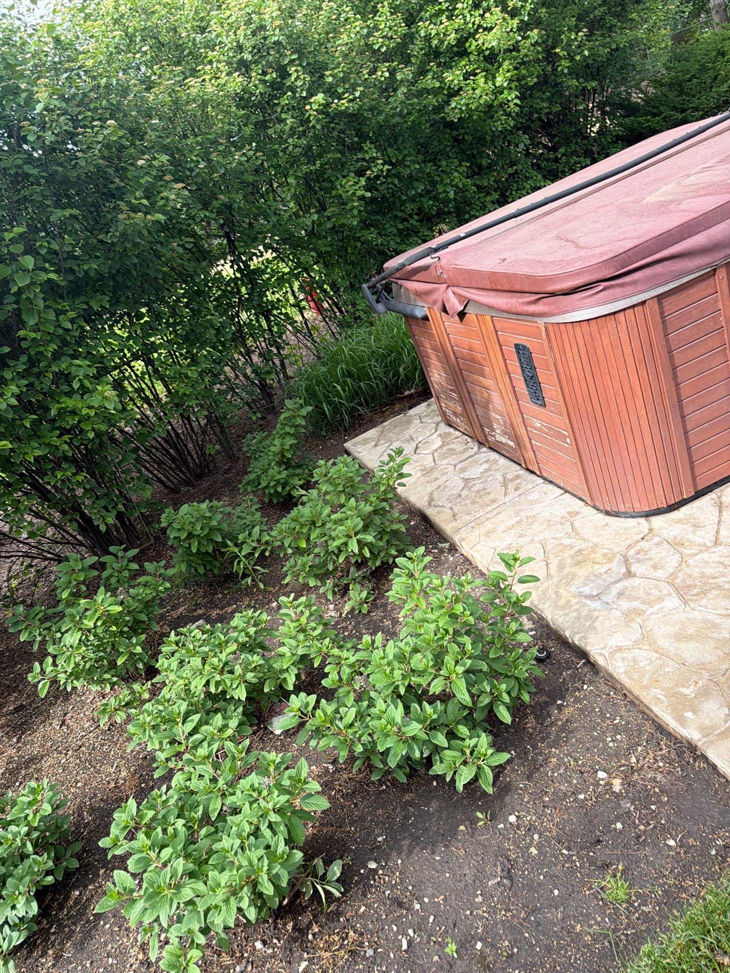 Stamped Concrete Surface Cleaning by Northern Power Washing LLC.